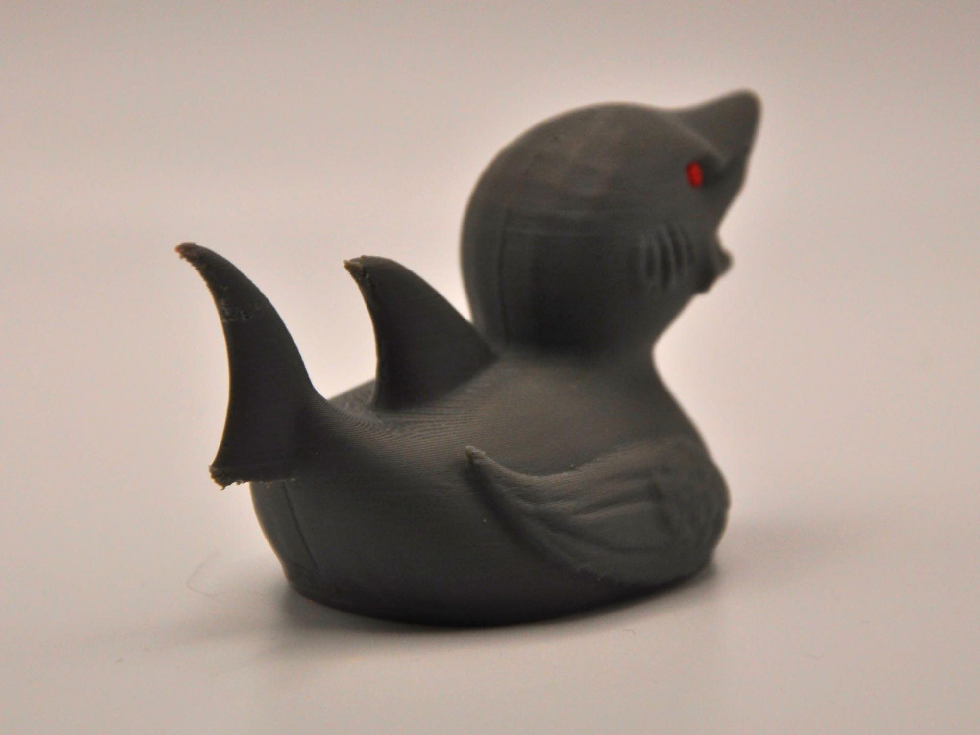 Shark Duck