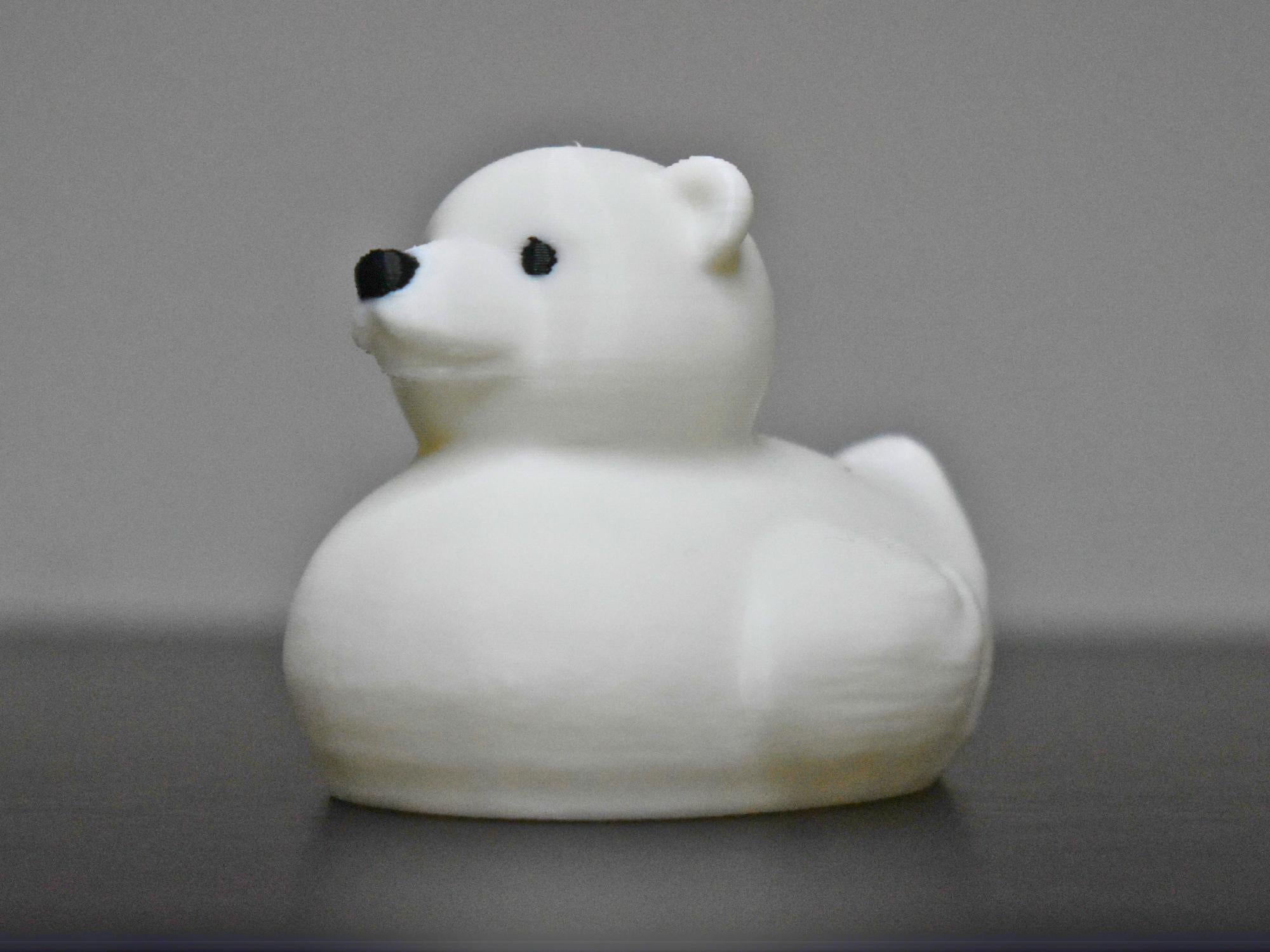 Polar Bear Duck
