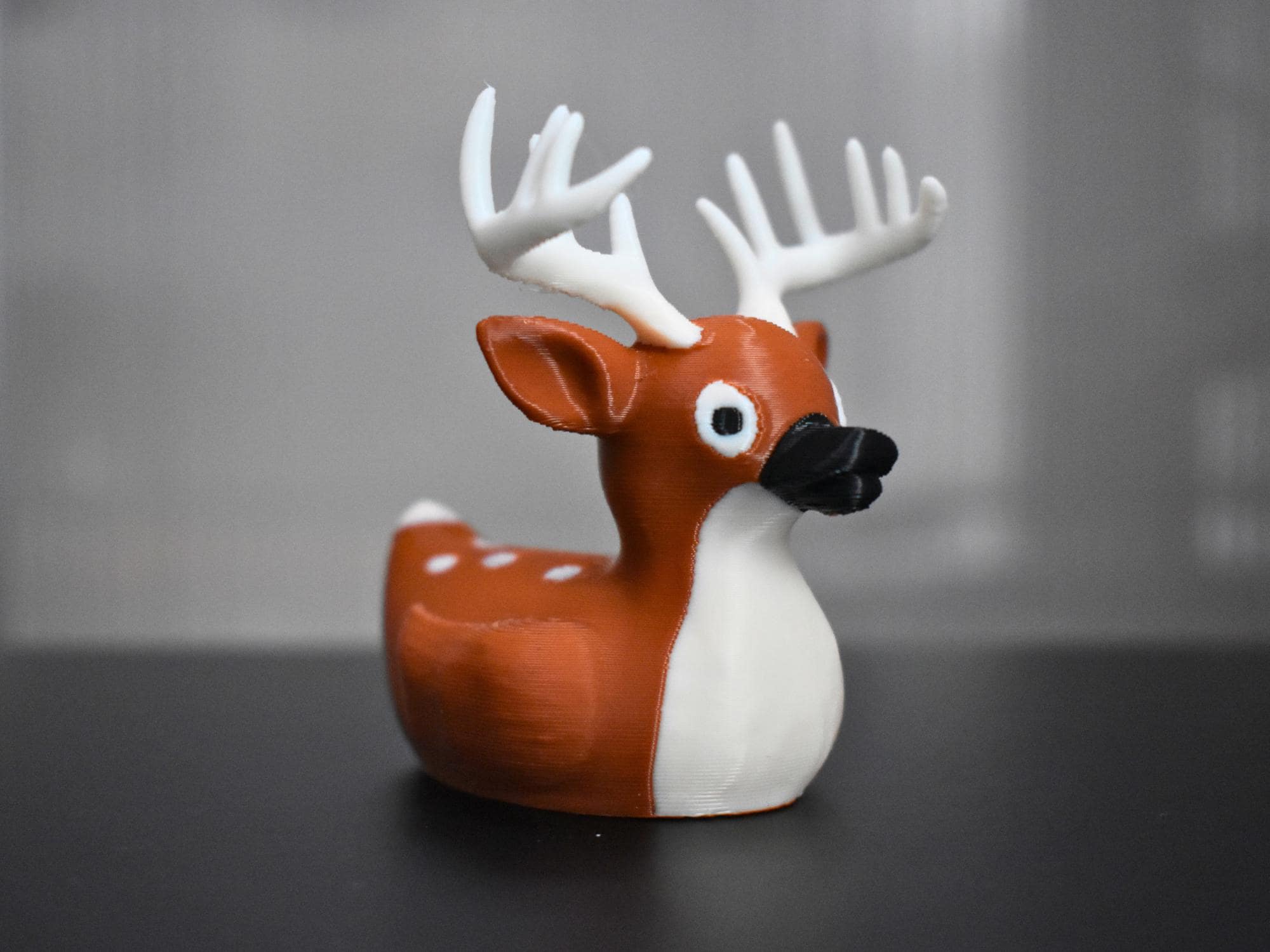 White Tail Deer Duck