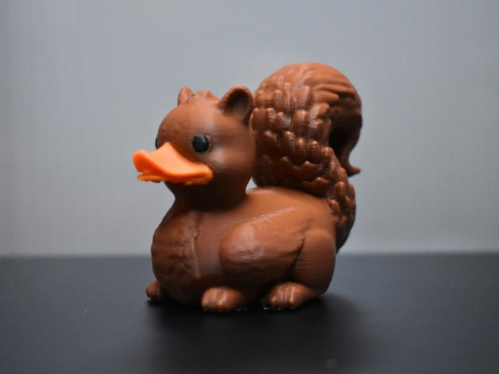 Squirrel Duck