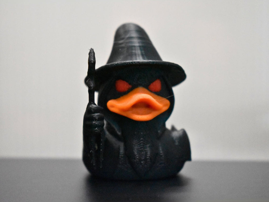 Wizard Duck
