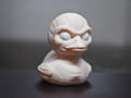 Skinned Creature Duck