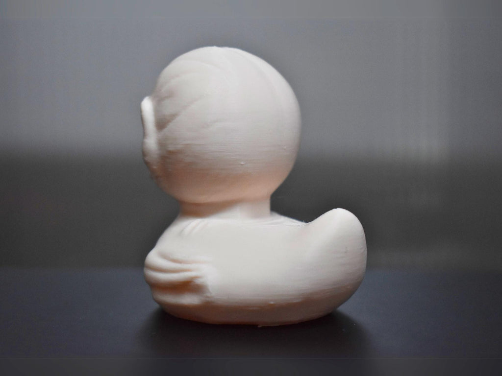 Skinned Creature Duck