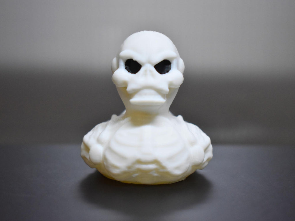 Skeleton Duck
