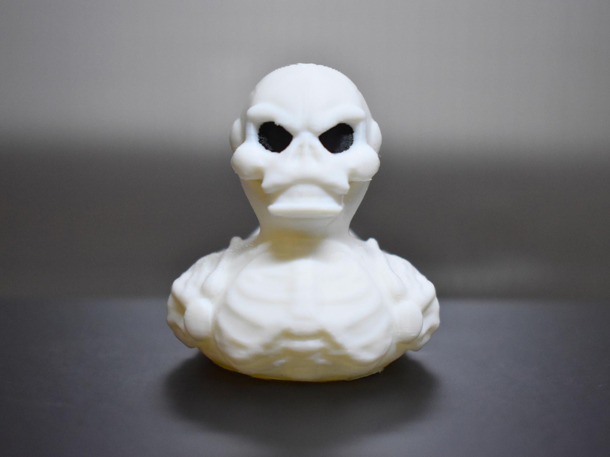 Skeleton Duck