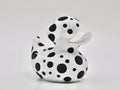 Dalmatian Duck