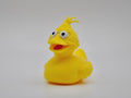 Big Quack – The Feathered Friend from the Block