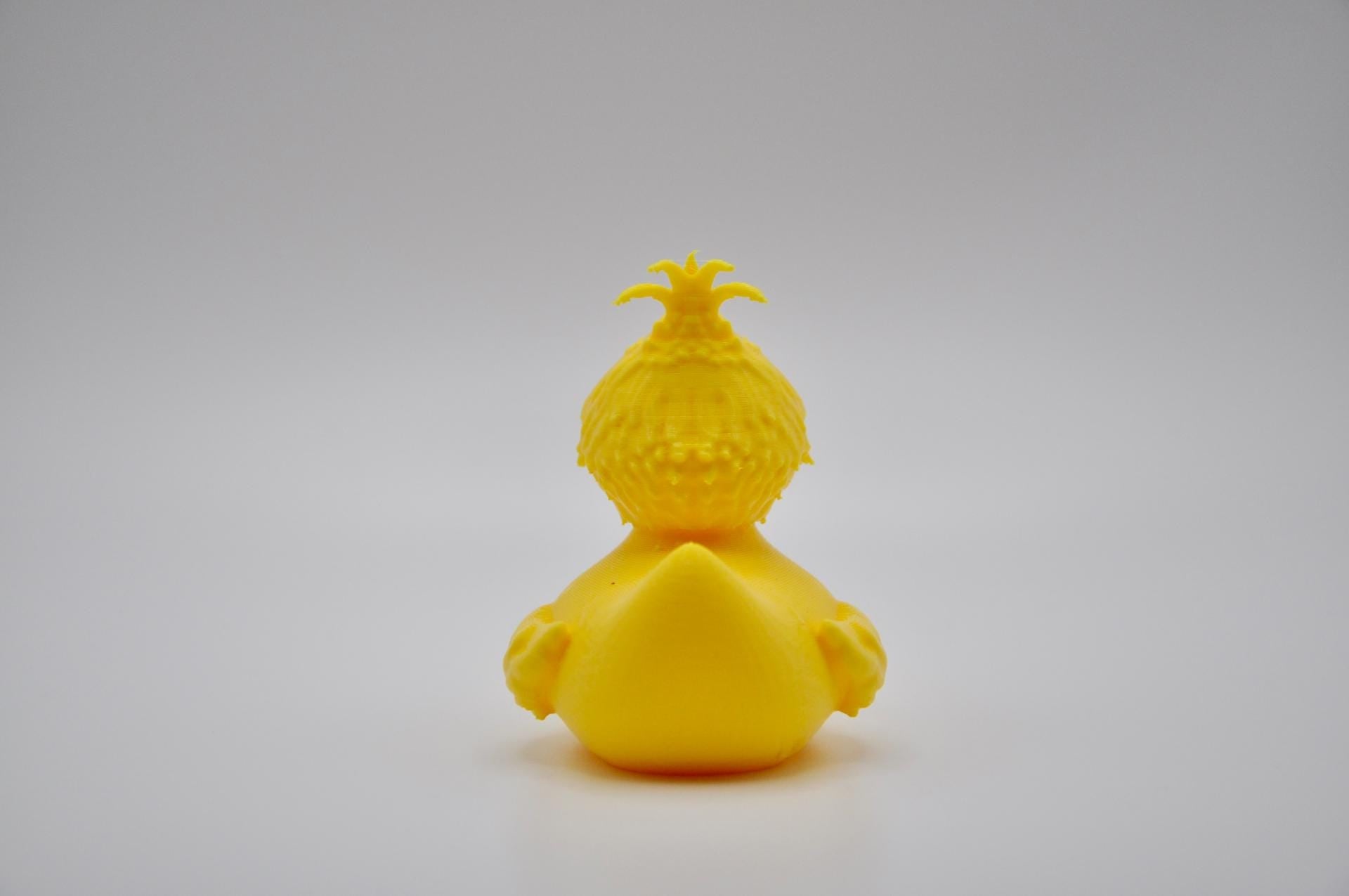 Big Quack – The Feathered Friend from the Block