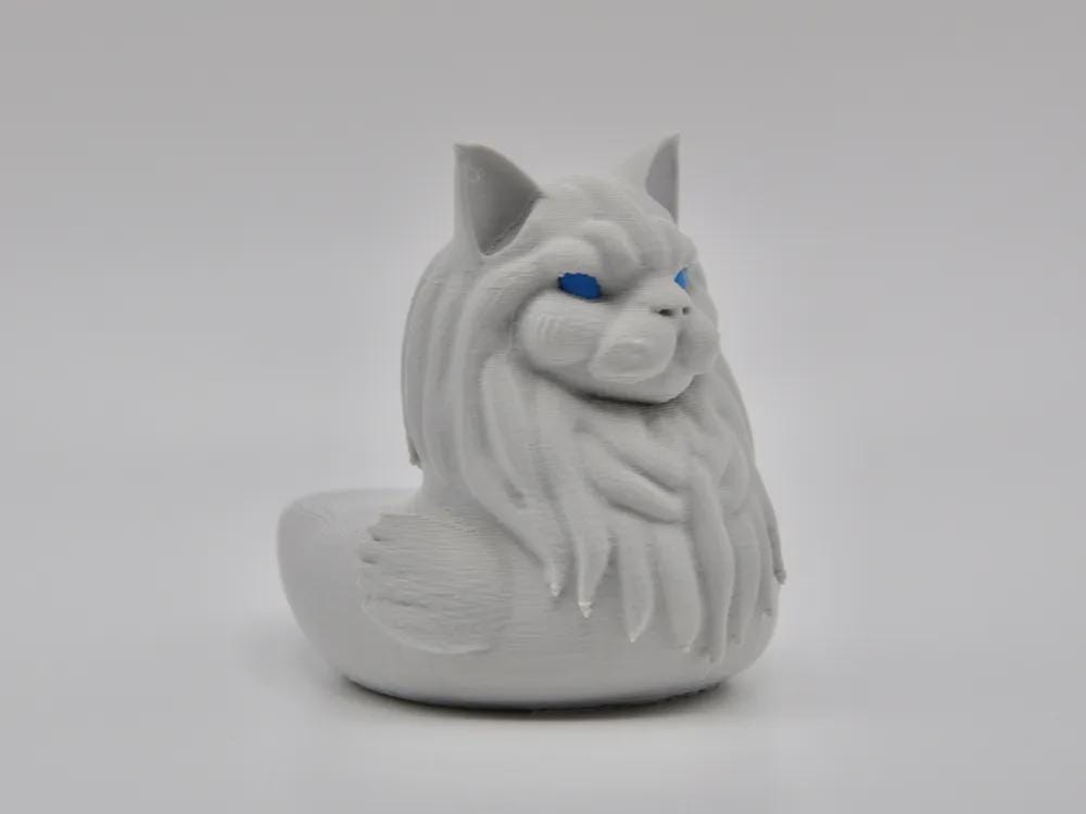 Maine Coon duck – The Gentle Giant of the Pond