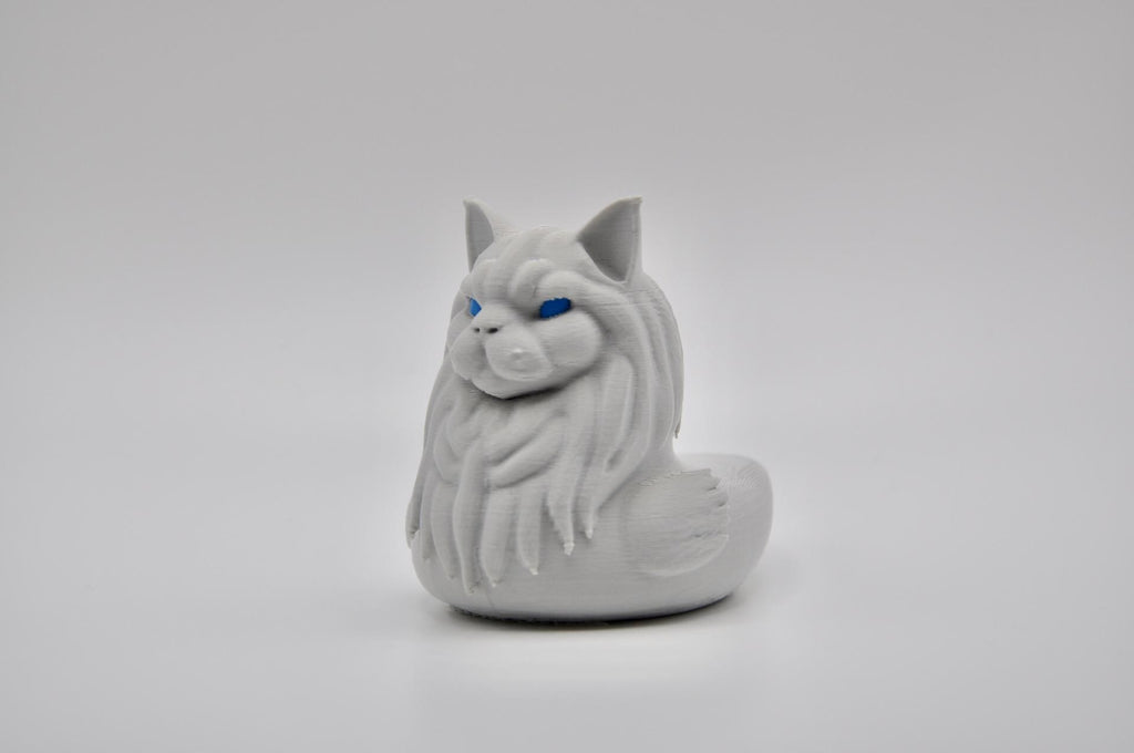 Maine Coon duck – The Gentle Giant of the Pond