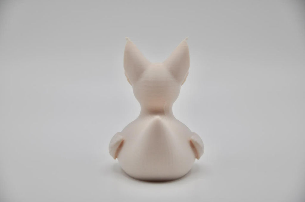 Sphynx Cat Duck