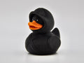 Ninja Duck
