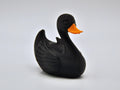 Black Swan Duck