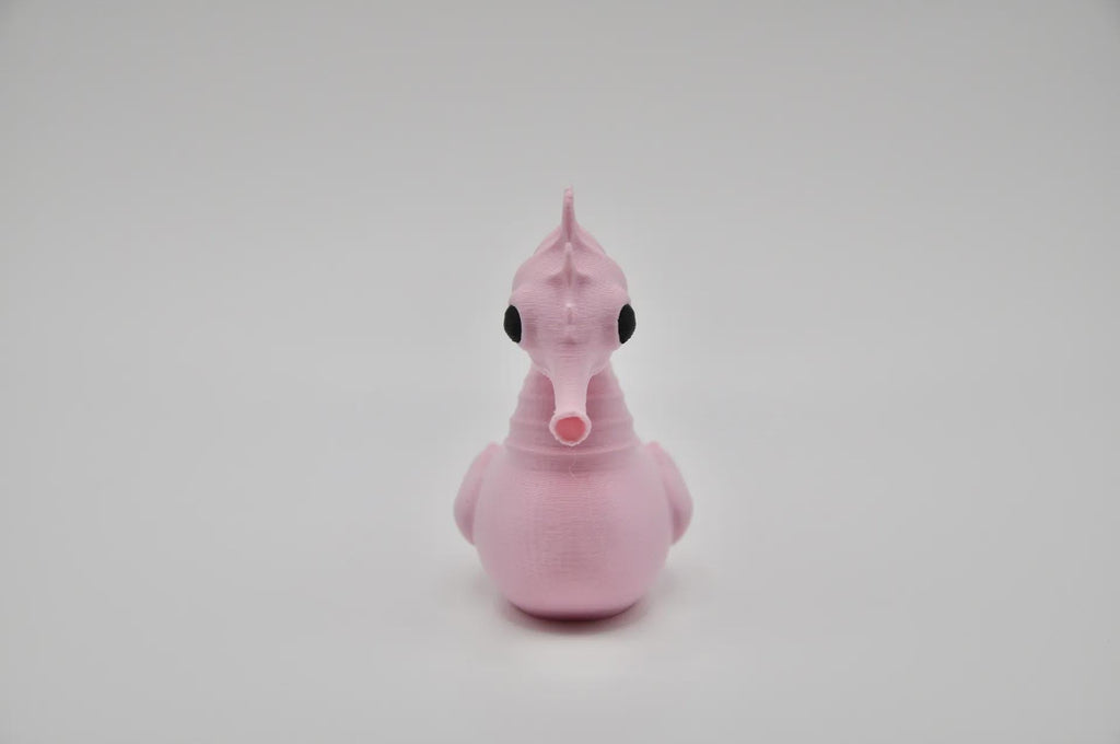 Seahorse – The Graceful Glider of the Duck Reef