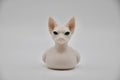 Sphynx Cat Duck