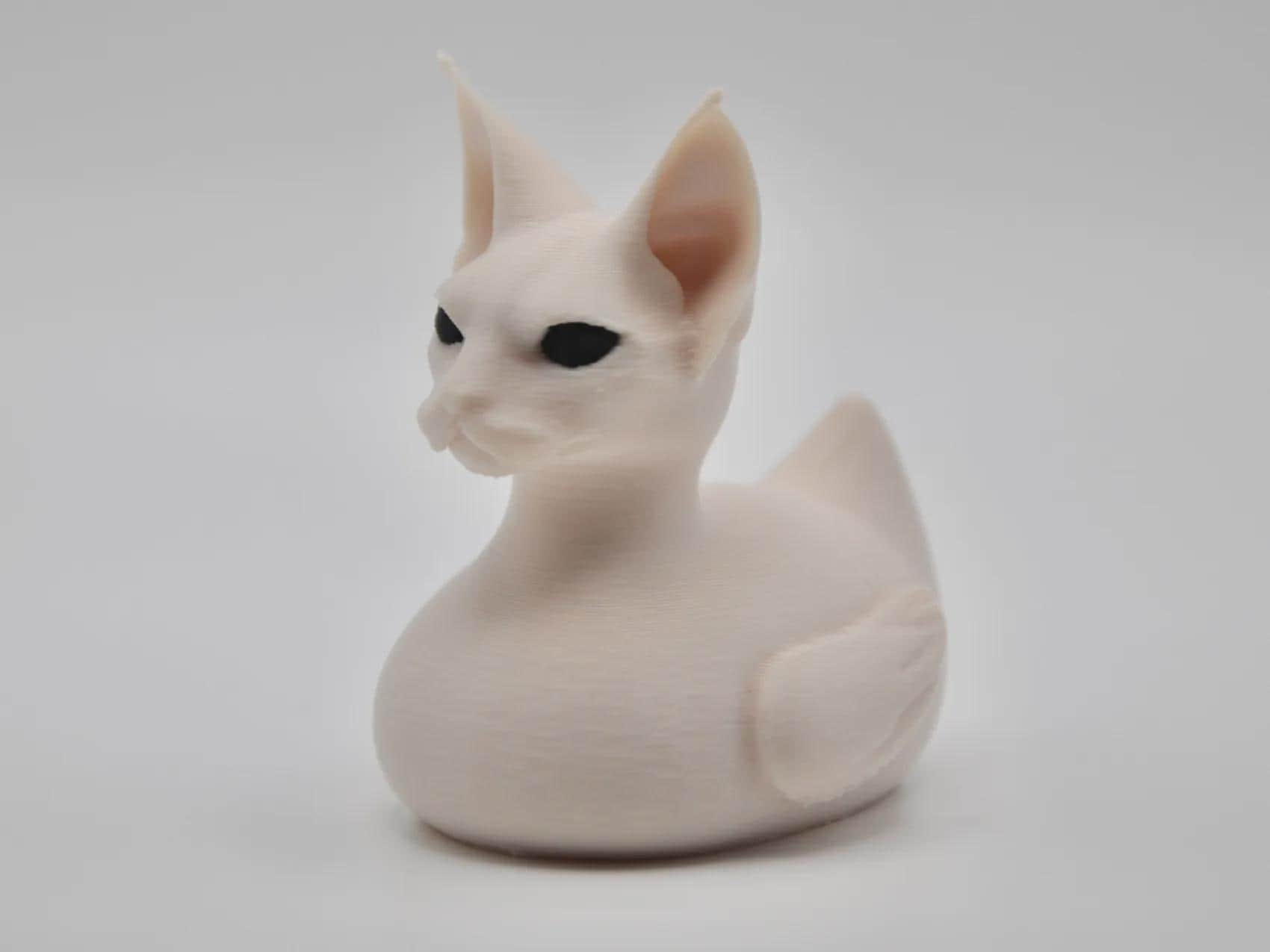 Sphynx Cat Duck