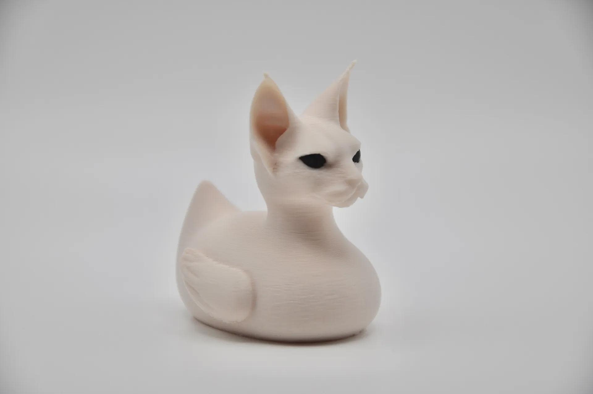 Sphynx Cat Duck