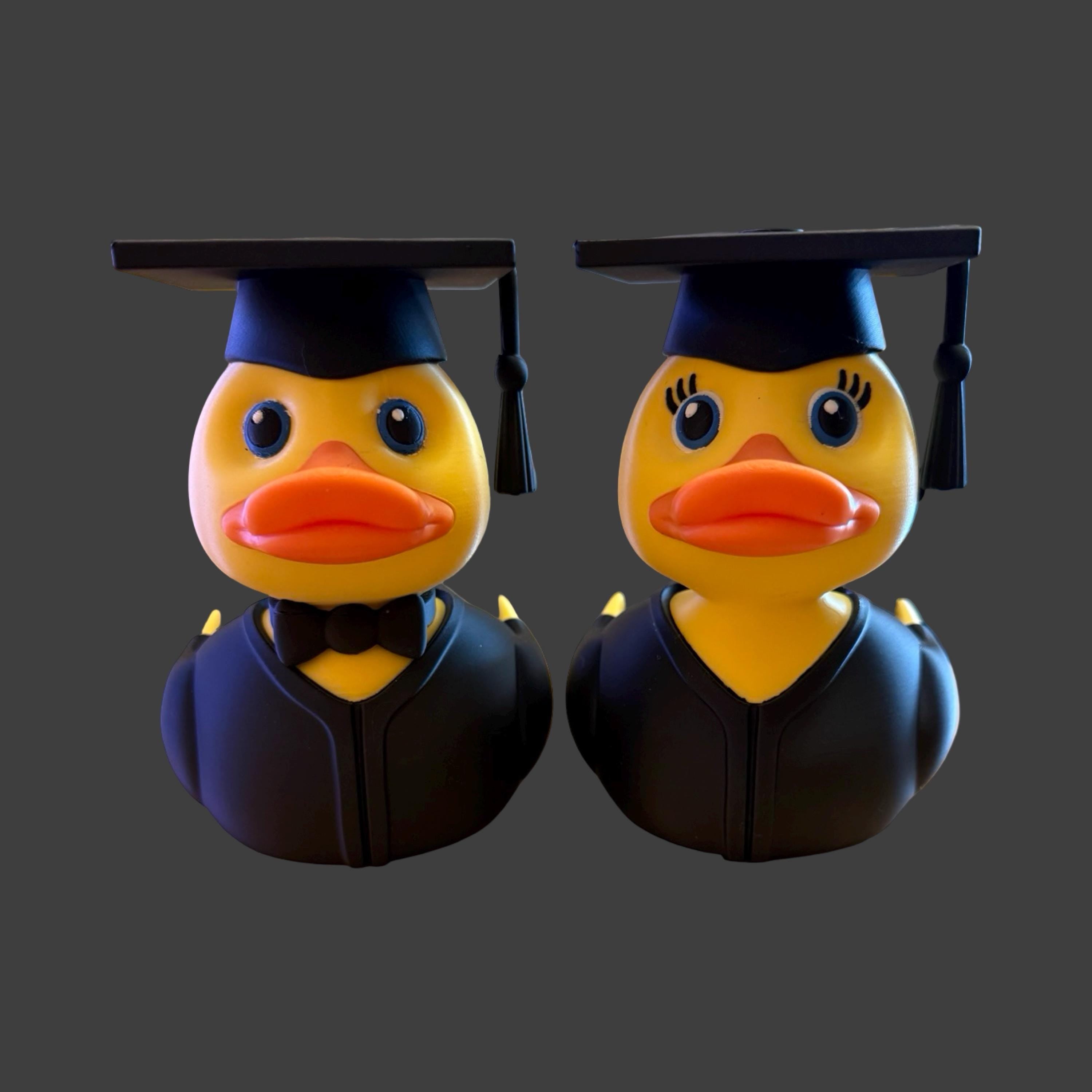 Graduckates – The Smartest Ducks in the Pond