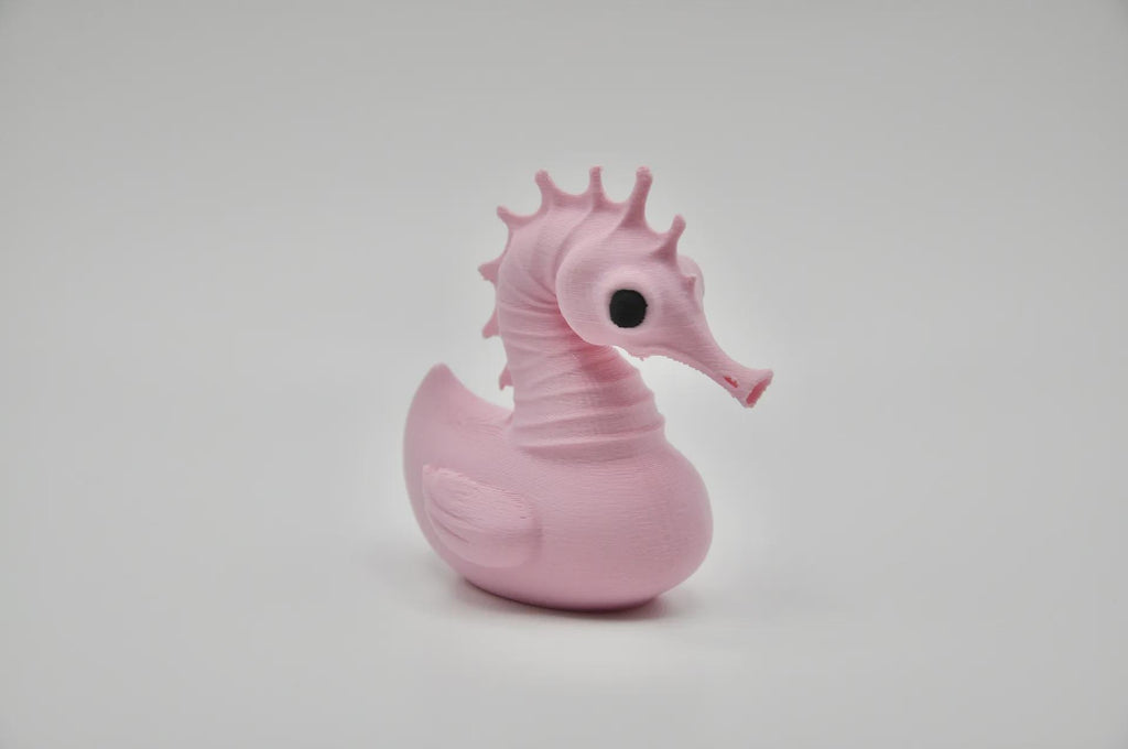 Seahorse – The Graceful Glider of the Duck Reef