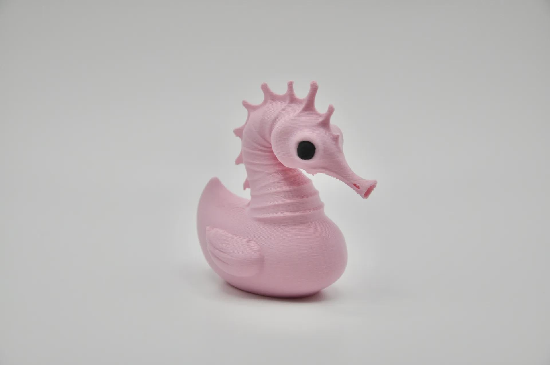 Seahorse – The Graceful Glider of the Duck Reef