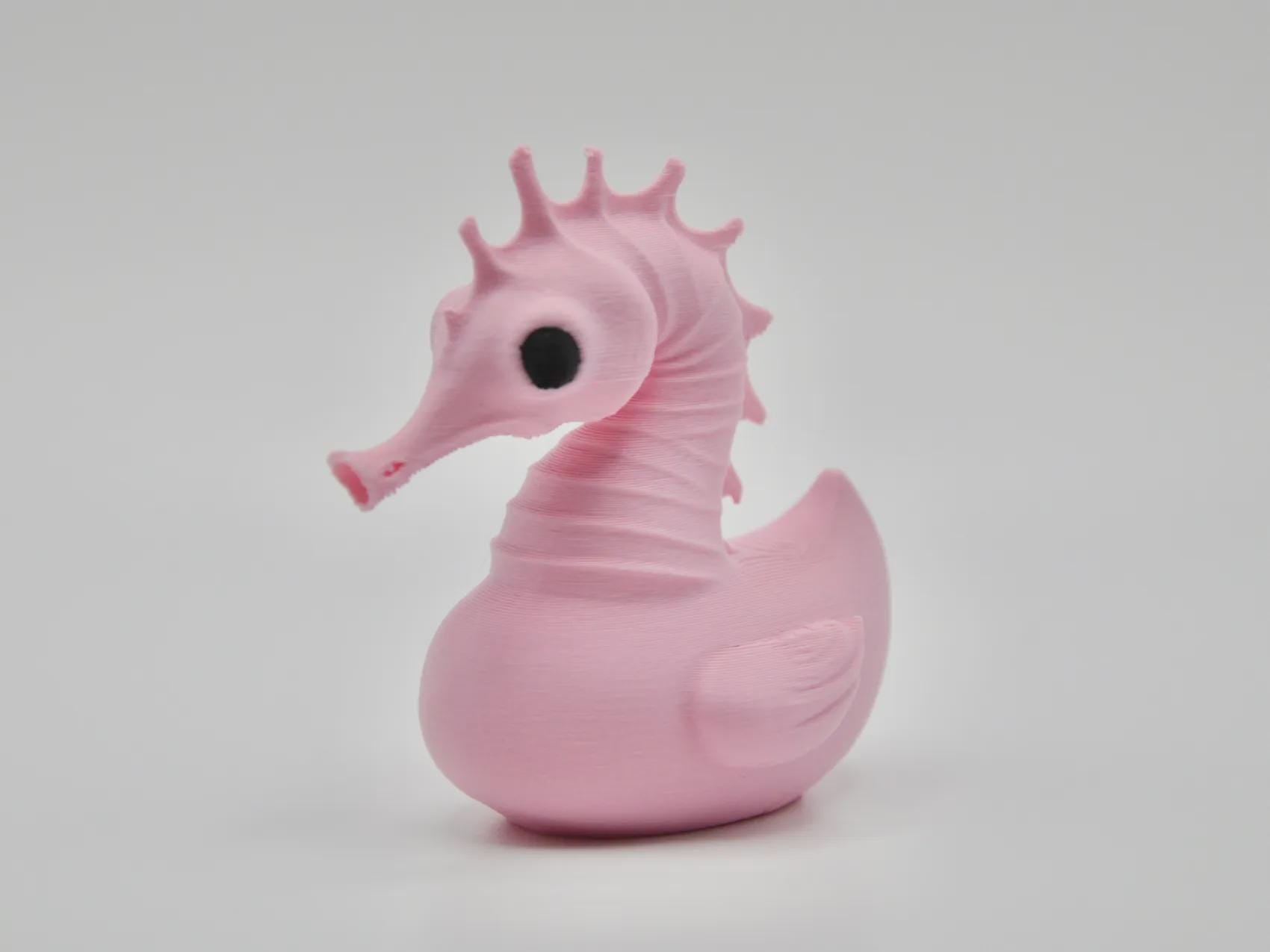 Seahorse – The Graceful Glider of the Duck Reef