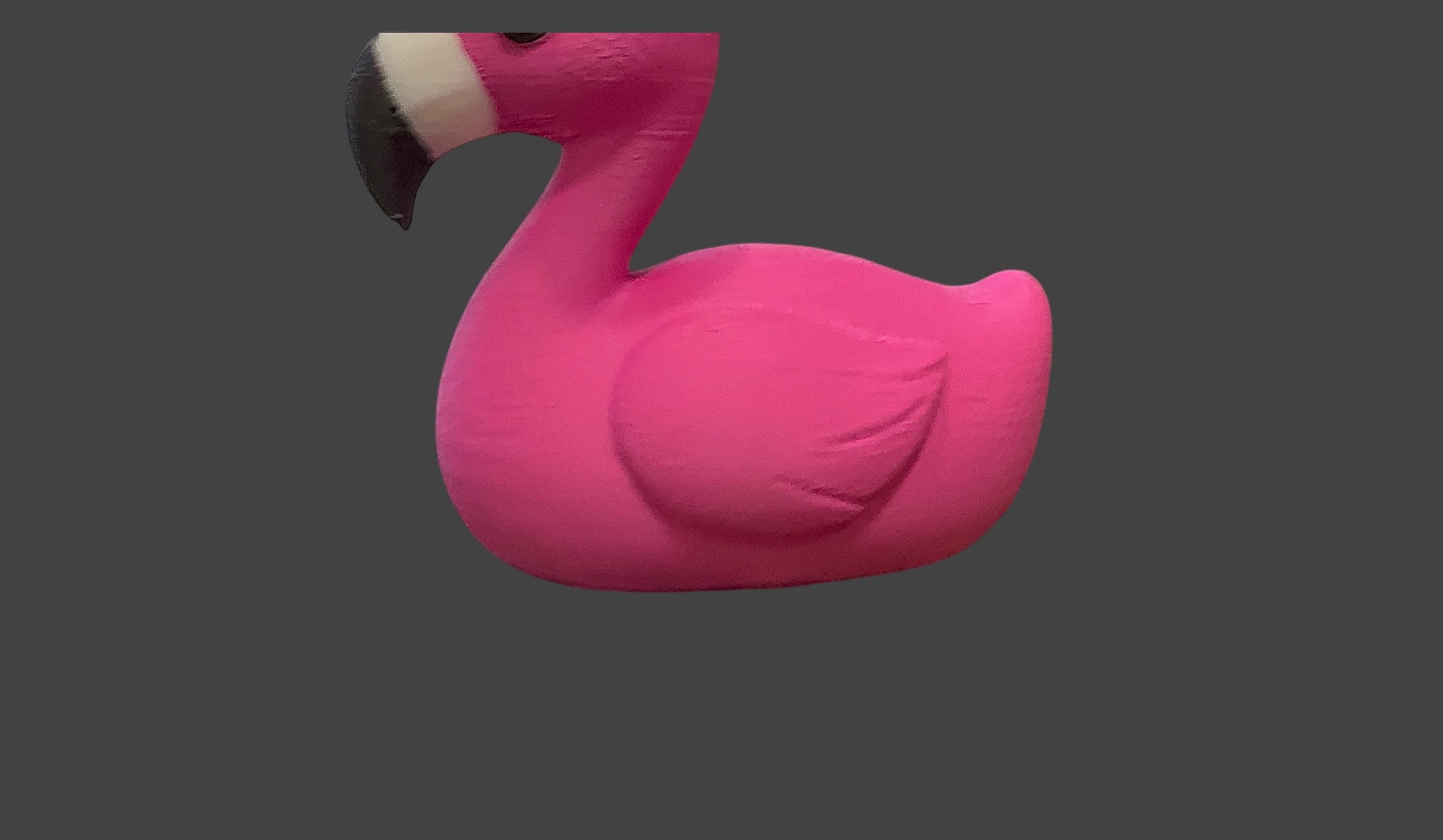 Flamingo Duck