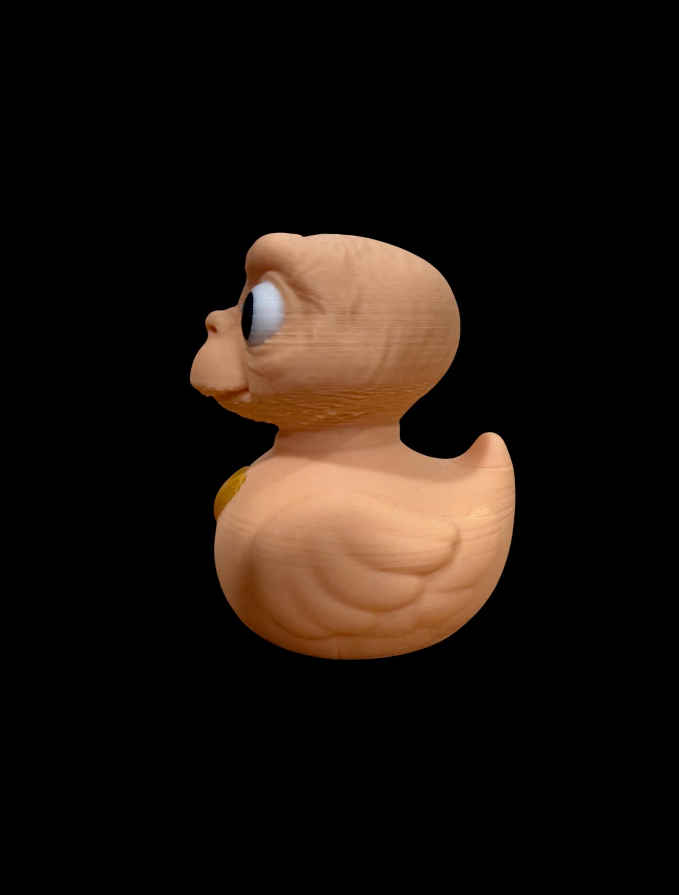 Quackstra-Terrestrial – The Duck Who Phoned Home!