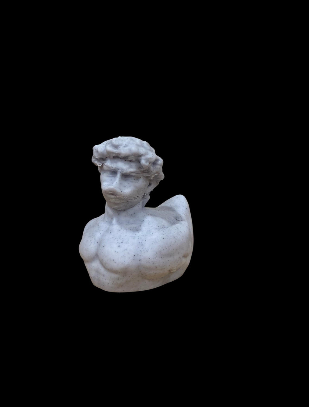 Daveling Duck – The Statuequack of Perfection