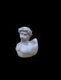 Daveling Duck – The Statuequack of Perfection
