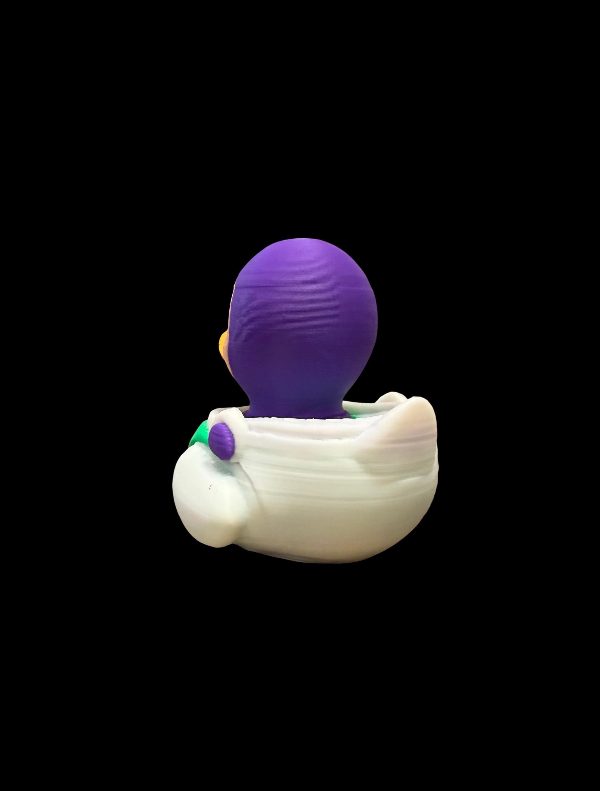 Galaxy Warden – Duck of the Outer Realms