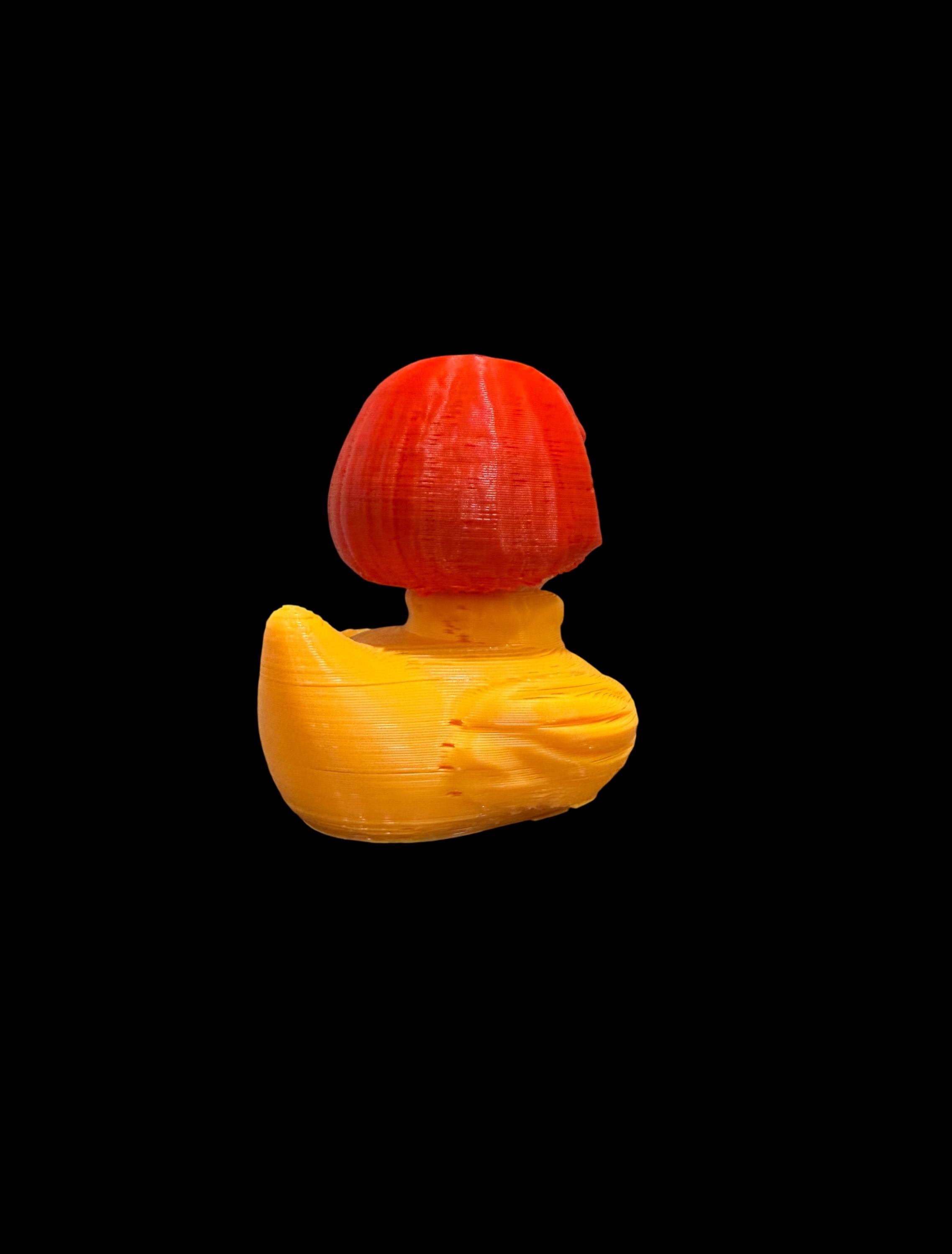 Velquack – The Brainy Sleuth of the Pond