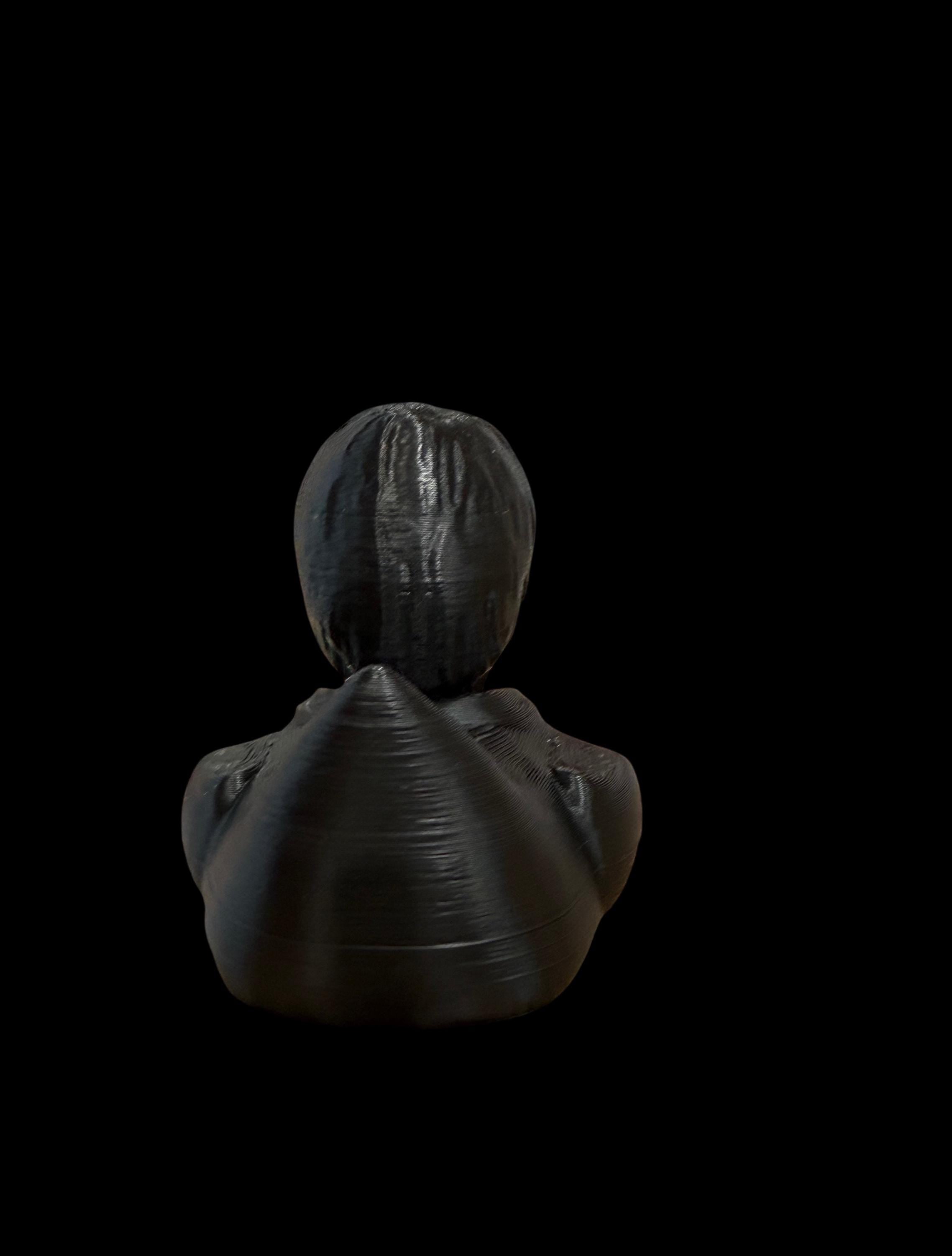 Potterquack – The Feathered Wizard Who Lived