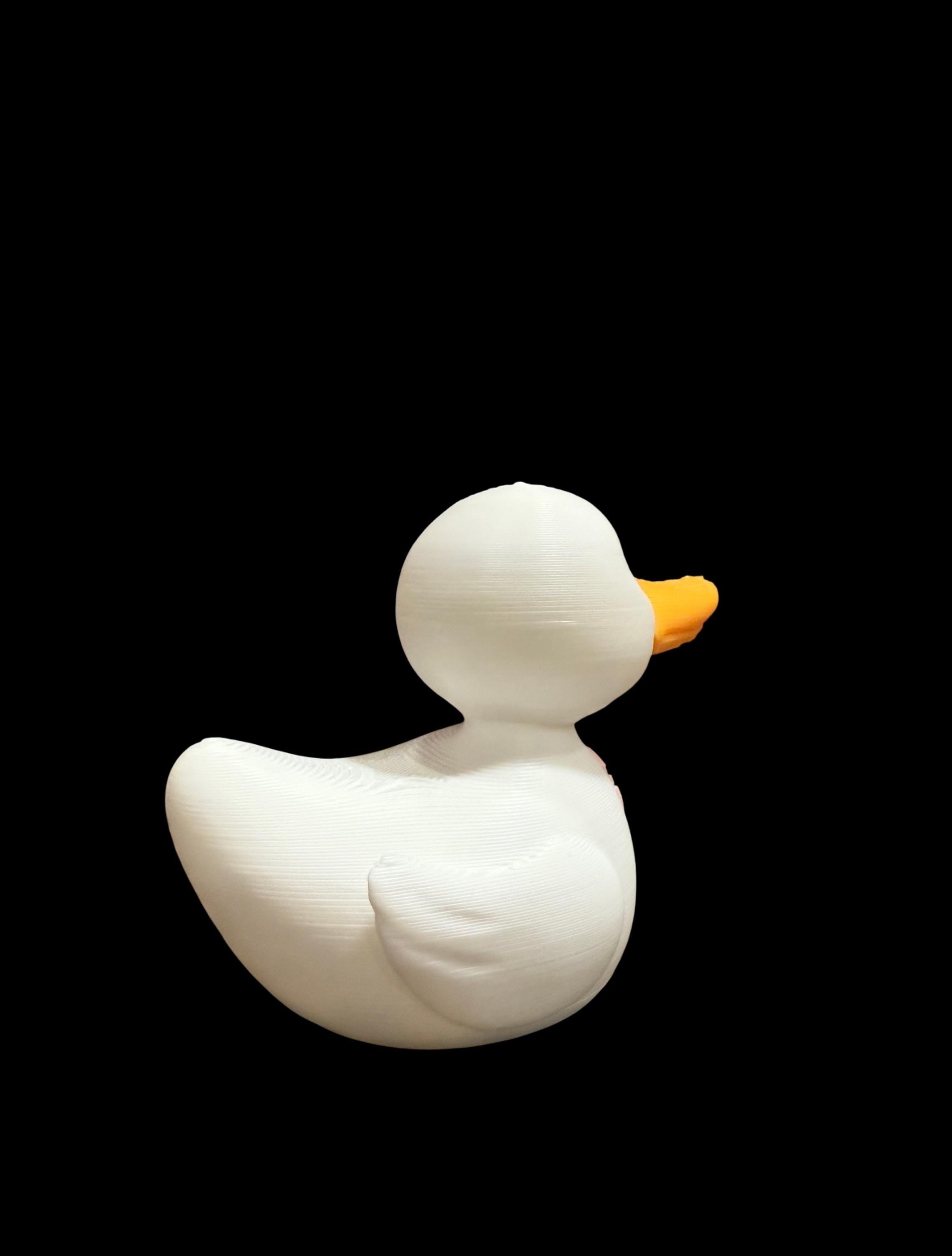 Breast Cancer Awareness Duck