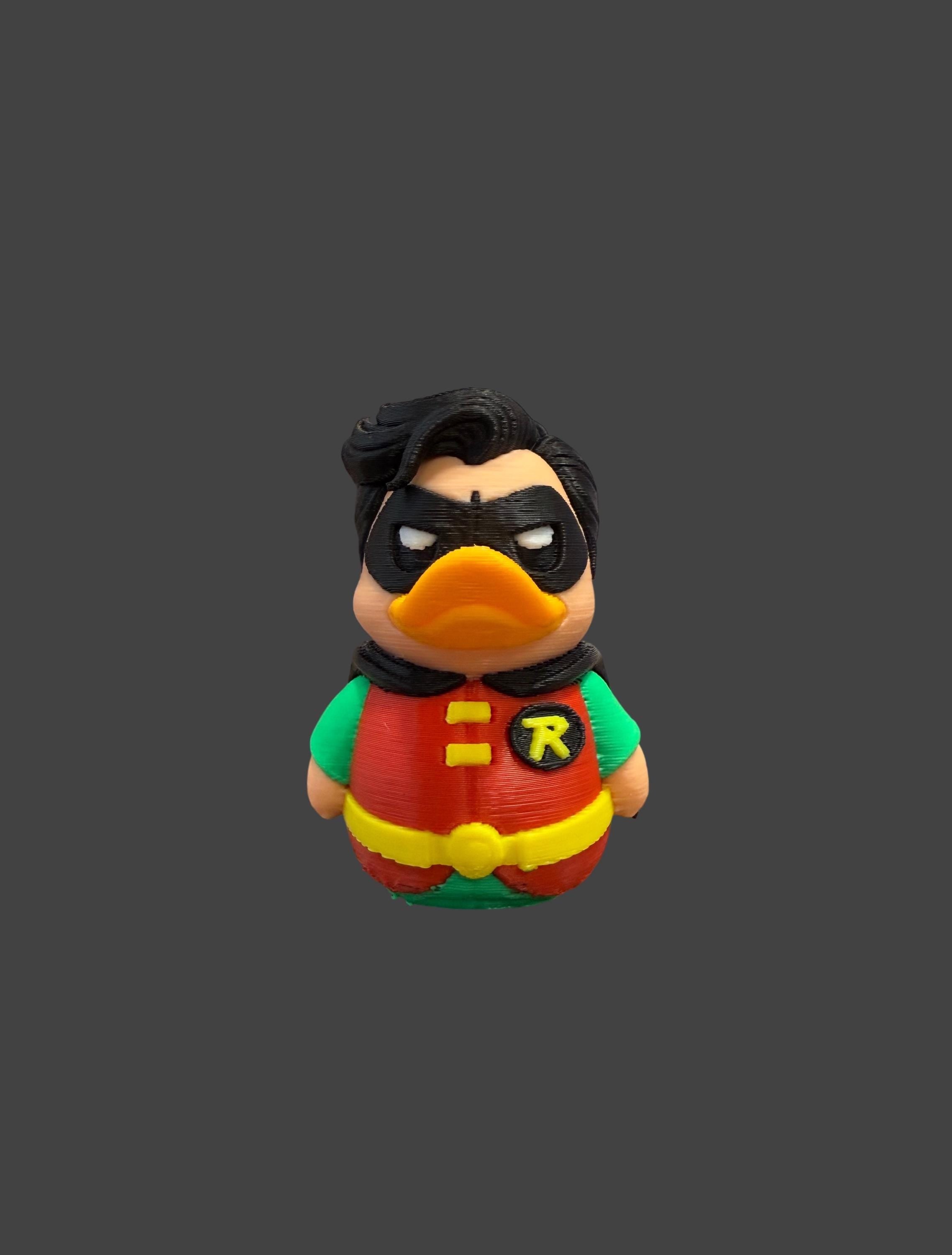 The Quack Wonder – Caped Crusader Sidekick of the Pond
