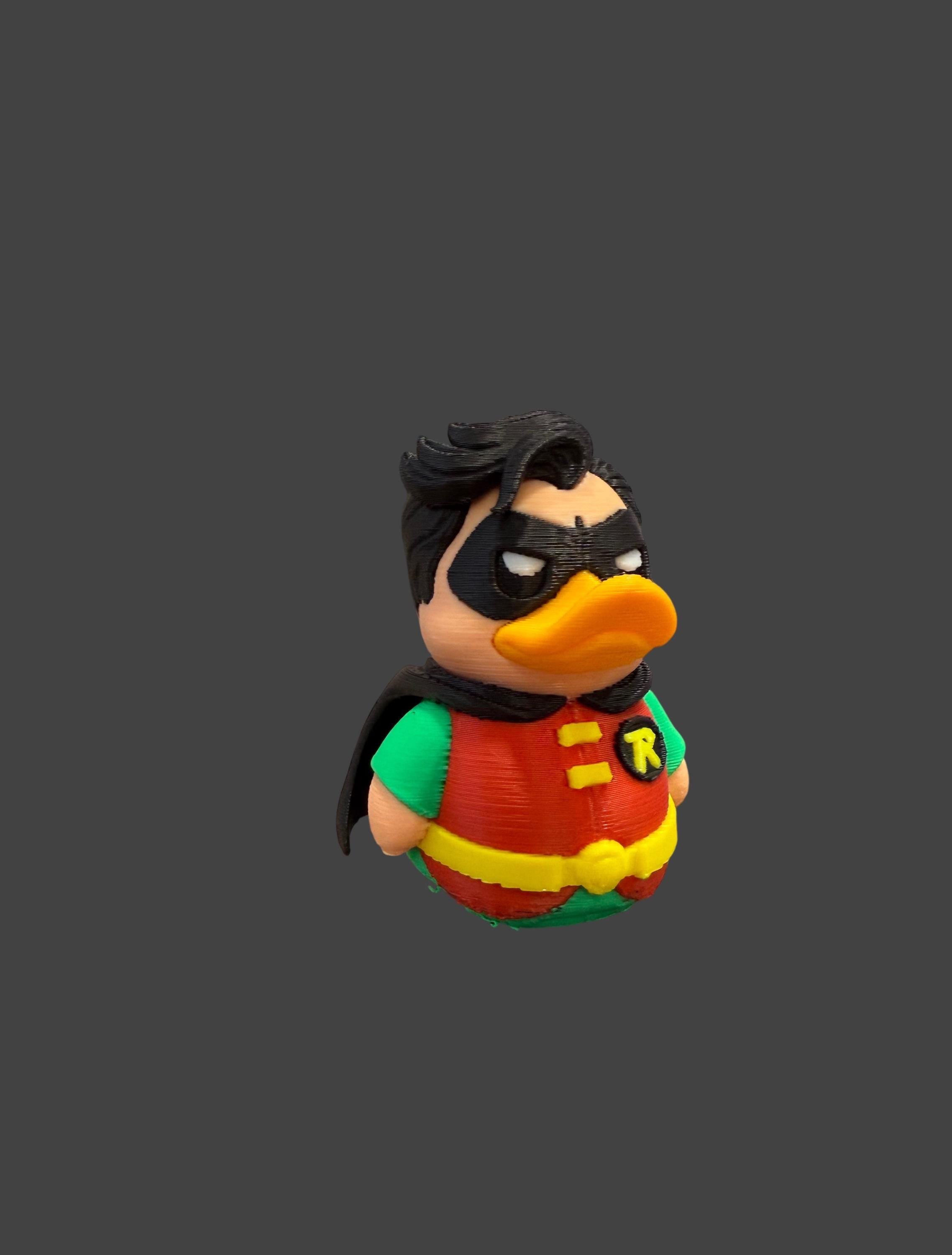 The Quack Wonder – Caped Crusader Sidekick of the Pond