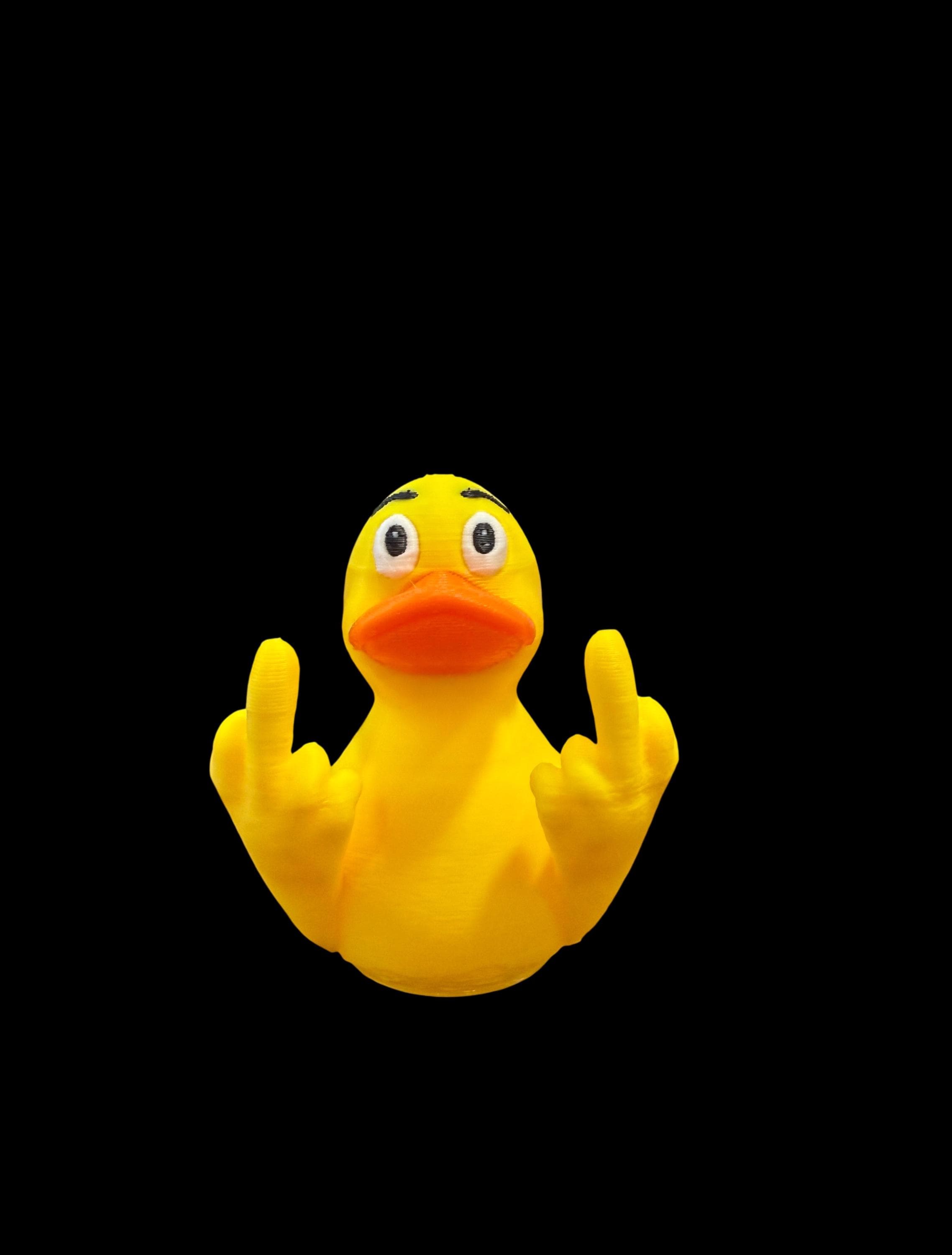 Flock Off – The Duck with an Attitude Problem