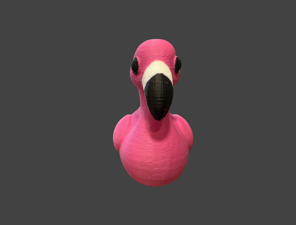 Flamingo Duck