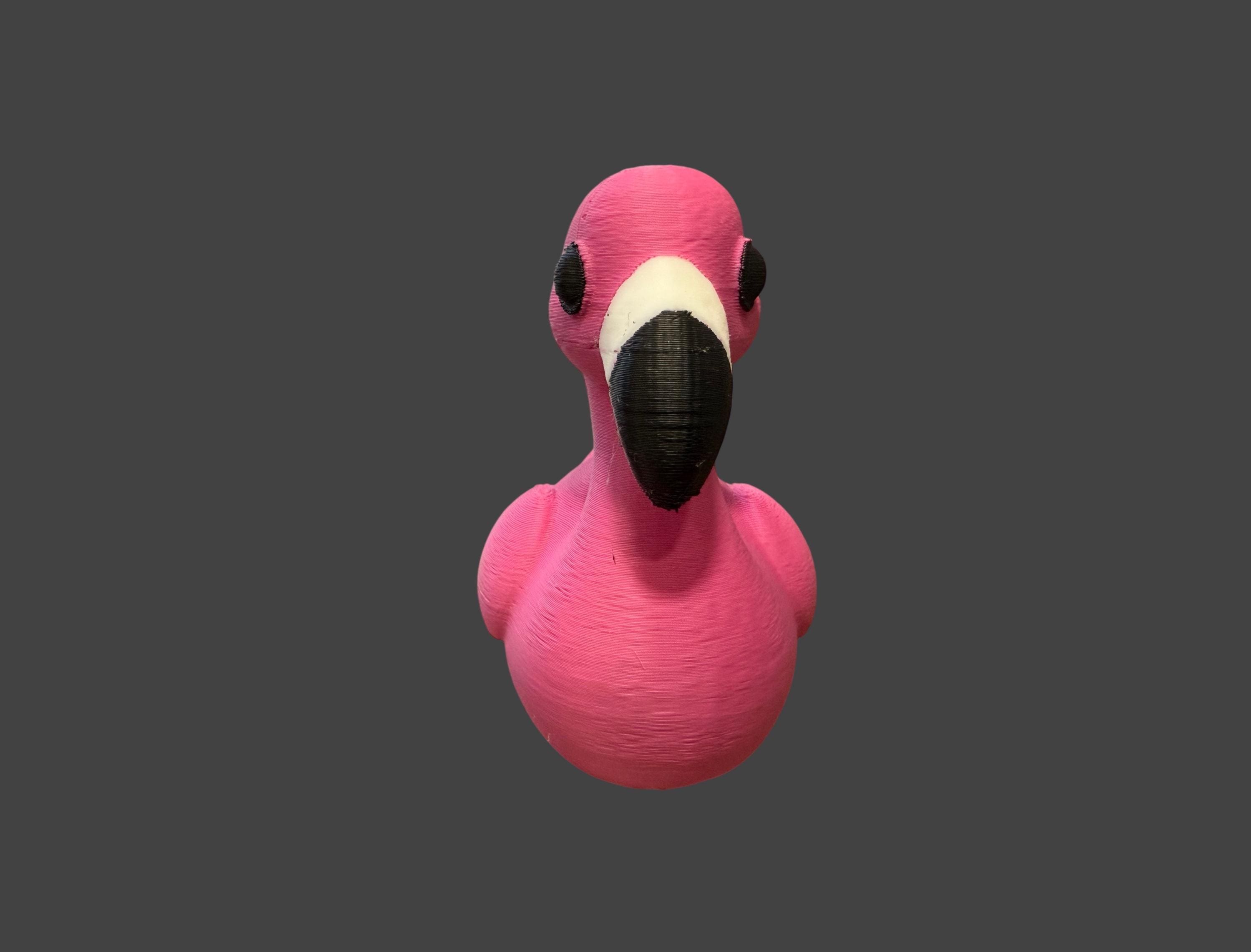 Flamingo Duck
