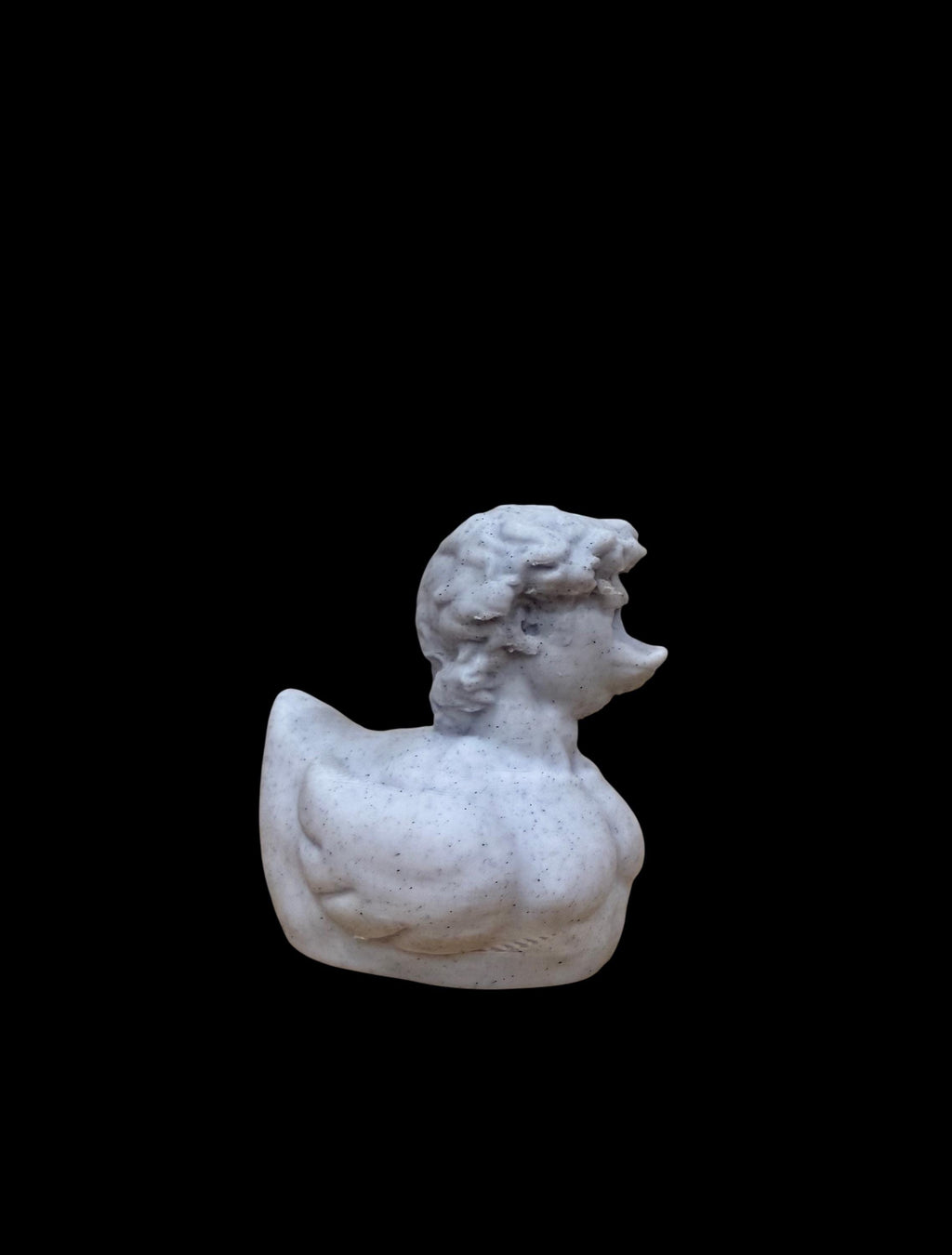 Daveling Duck – The Statuequack of Perfection