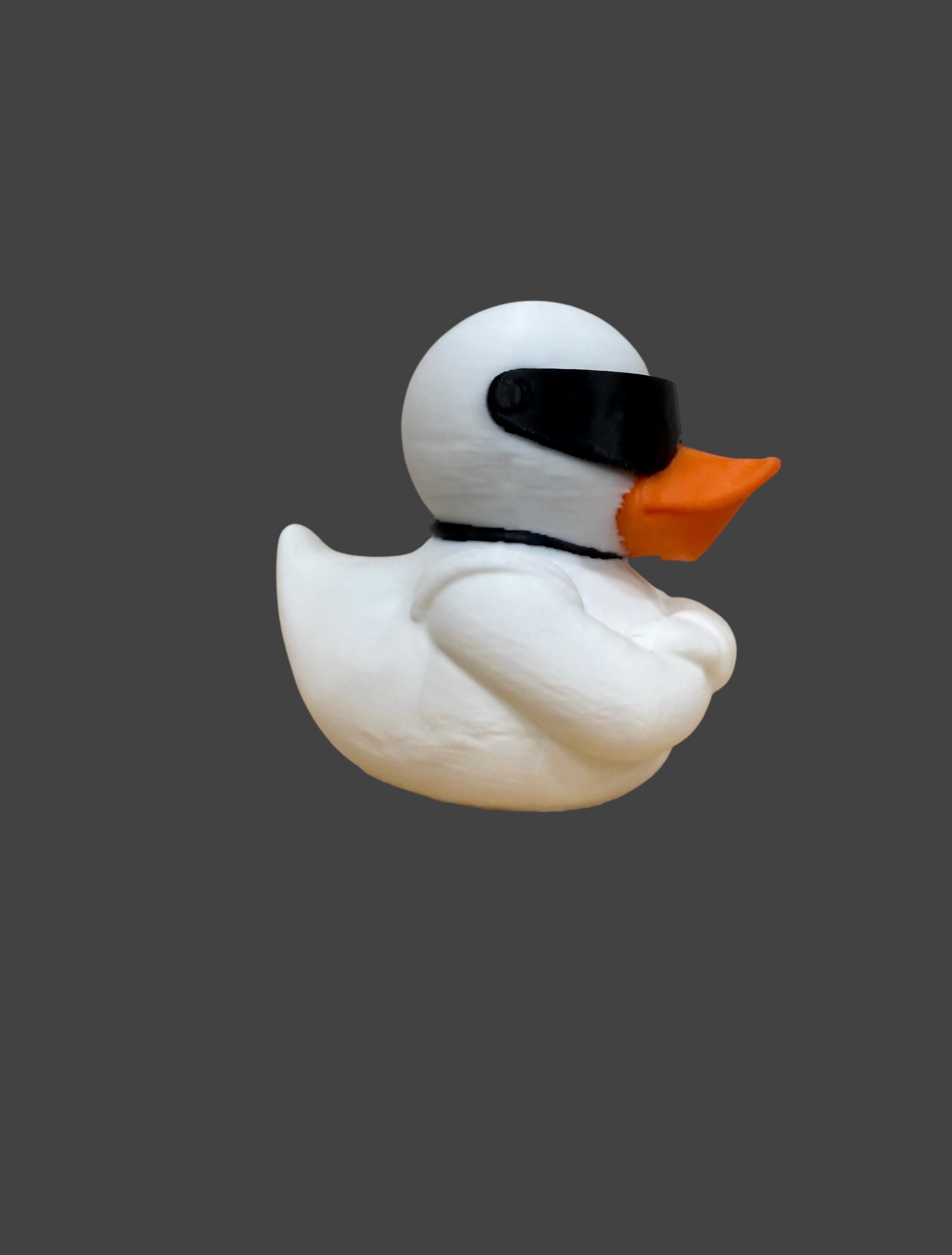 The Stigquack – Silent. Fast. Feathered. (Exclusively designed by KJ Customs 3D)