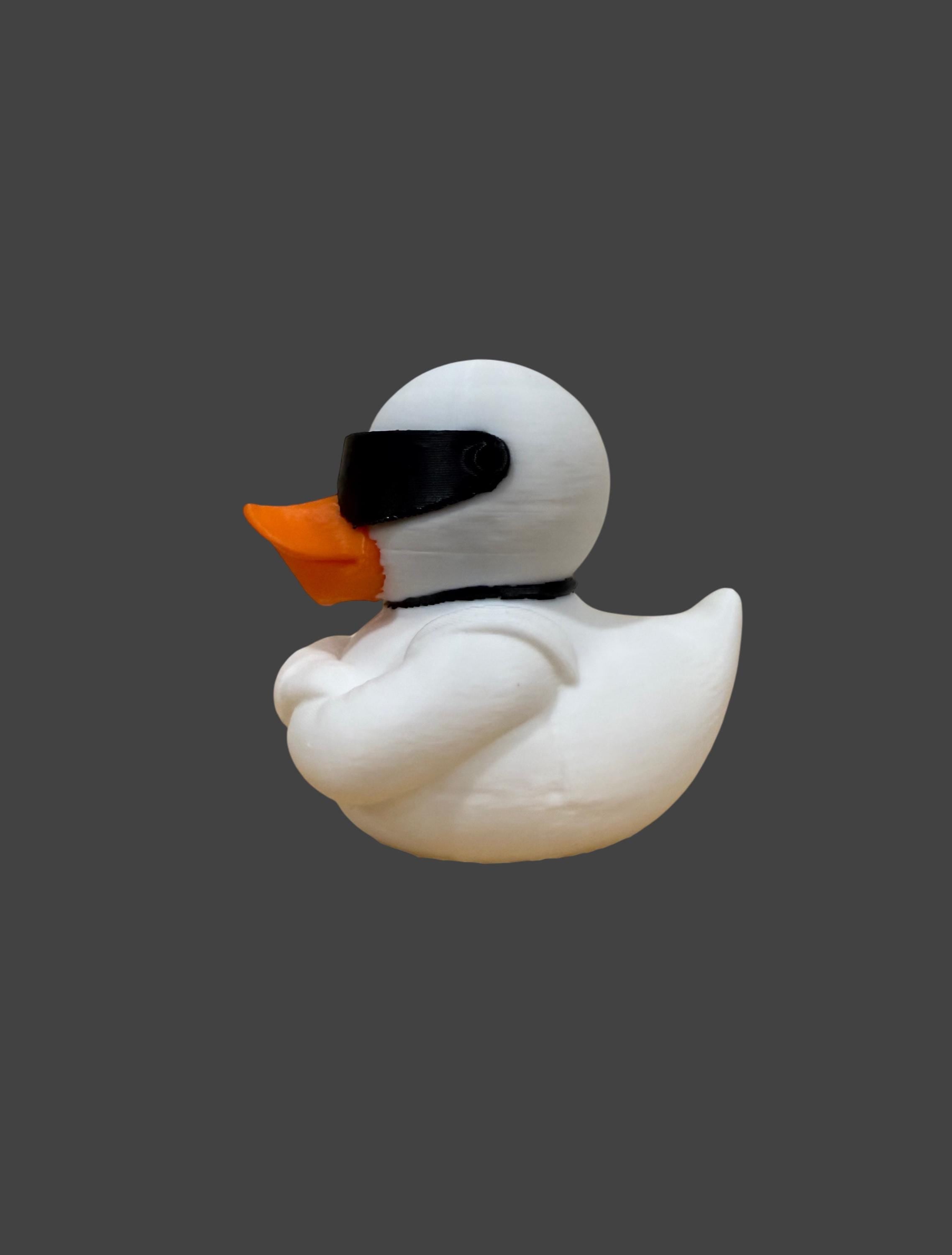 The Stigquack – Silent. Fast. Feathered. (Exclusively designed by KJ Customs 3D)