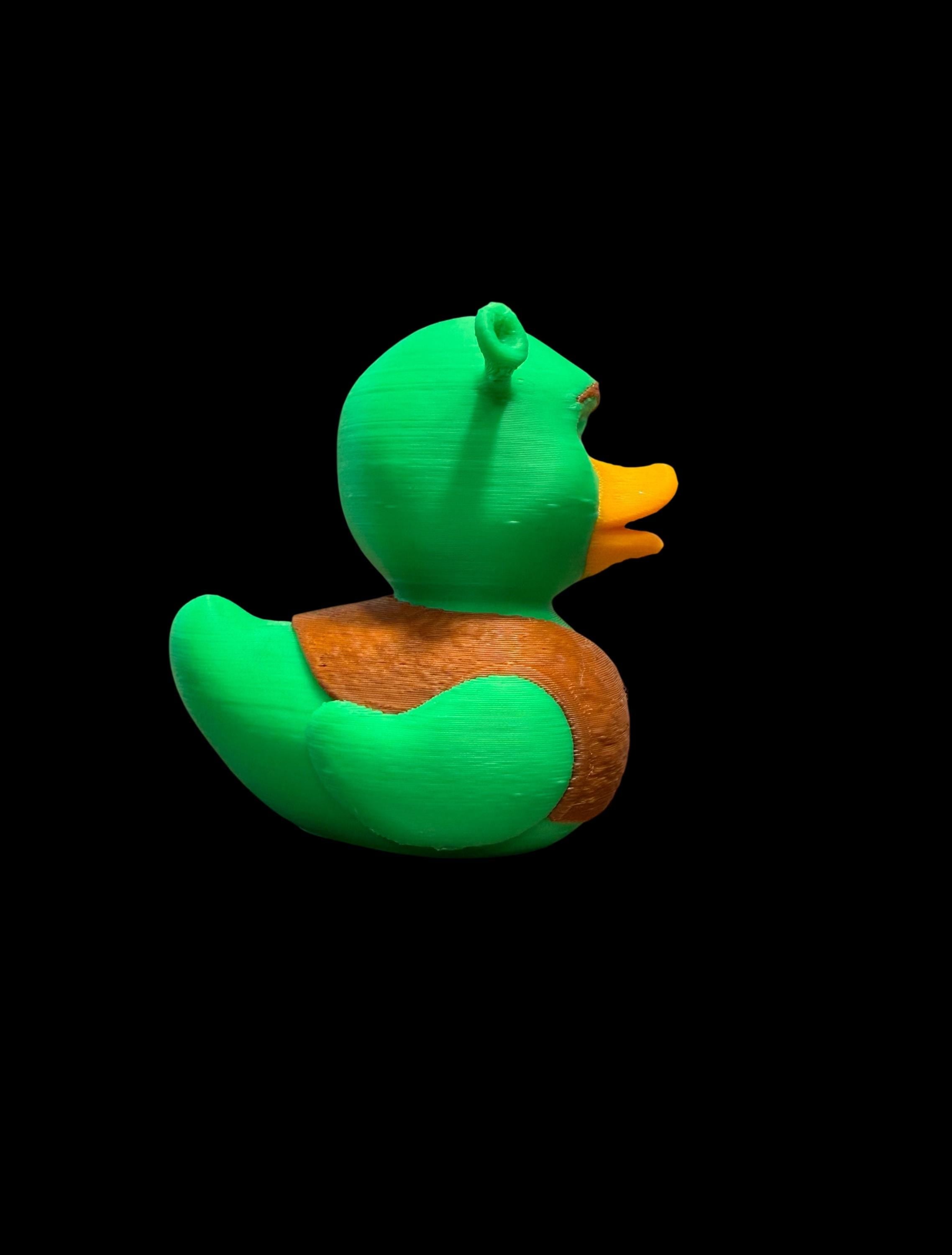 Swampquack – Get Outta My Pond!