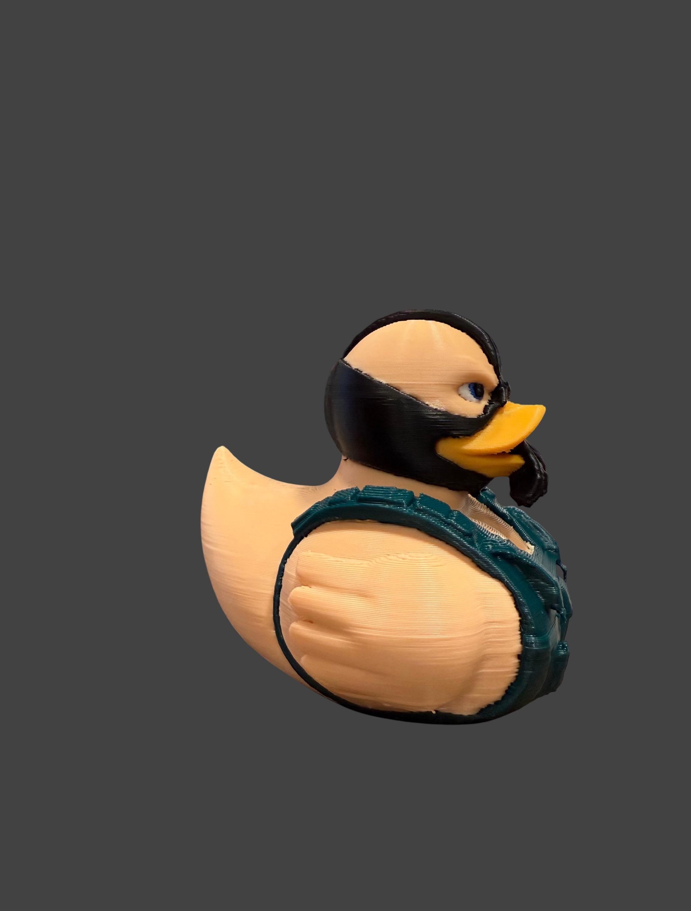 Bainquack – The Pond Rises