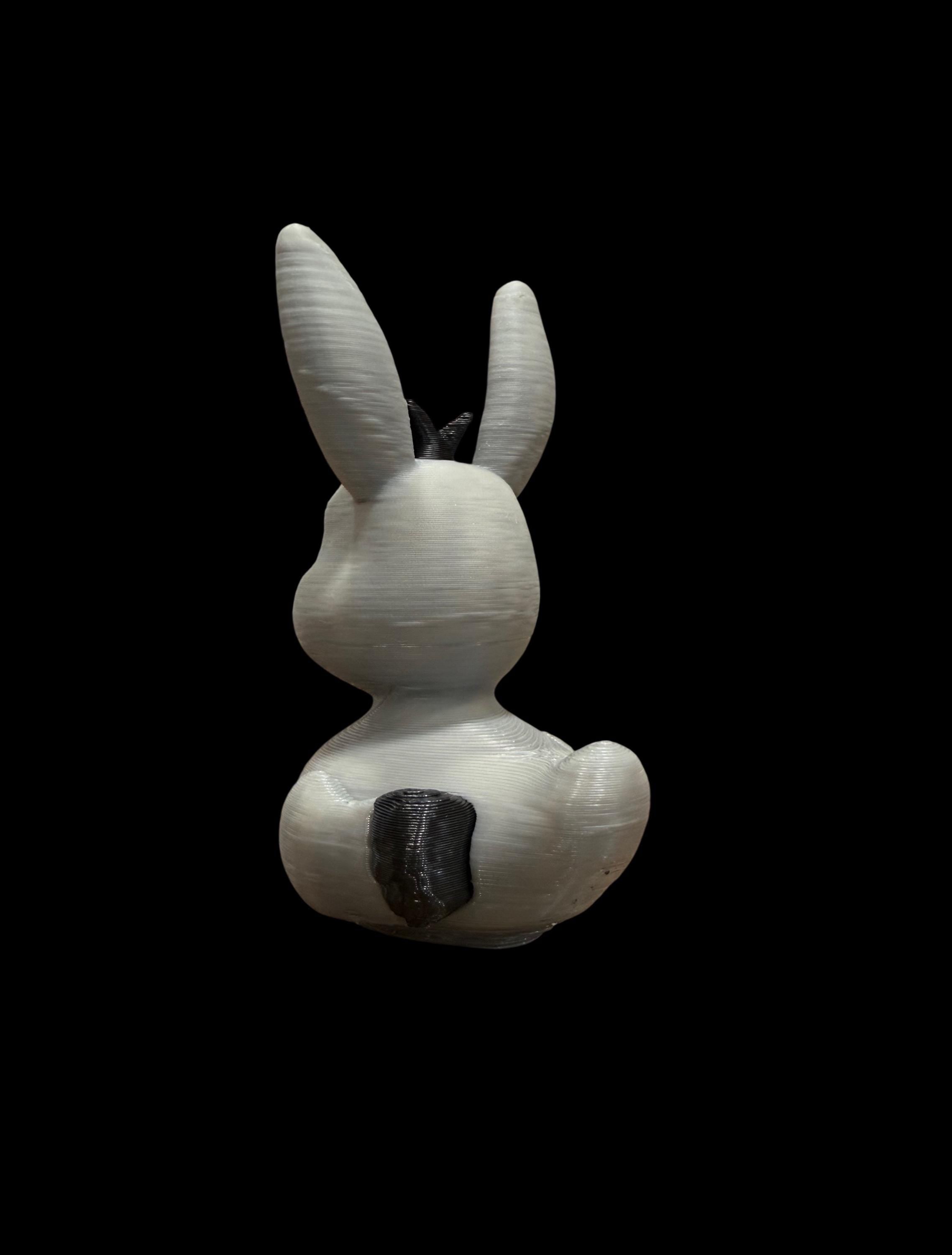 Dunkey the Loudmouth Sidekick – The Duck Who Never Quits Talkin’!