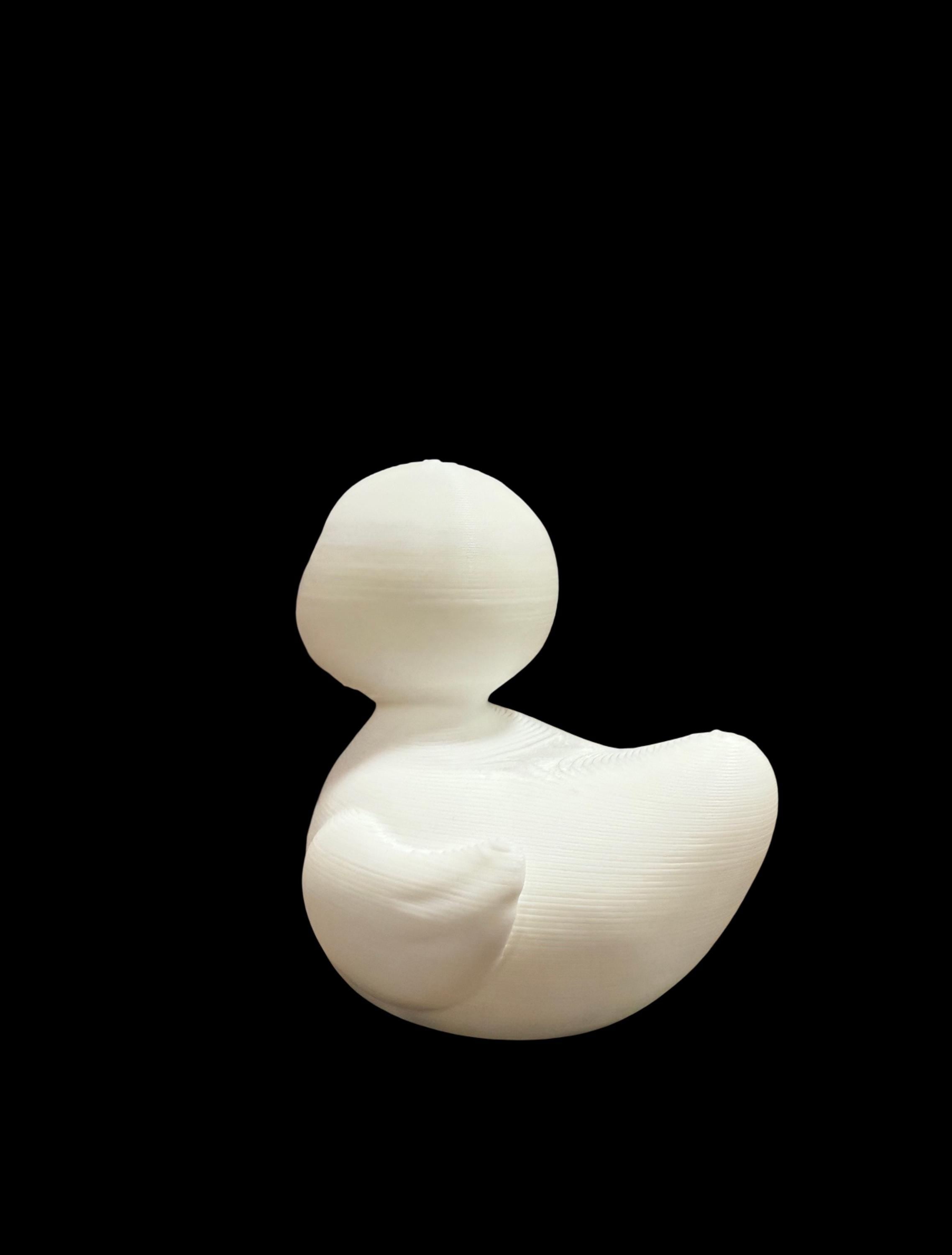 Breast Cancer Awareness Duck