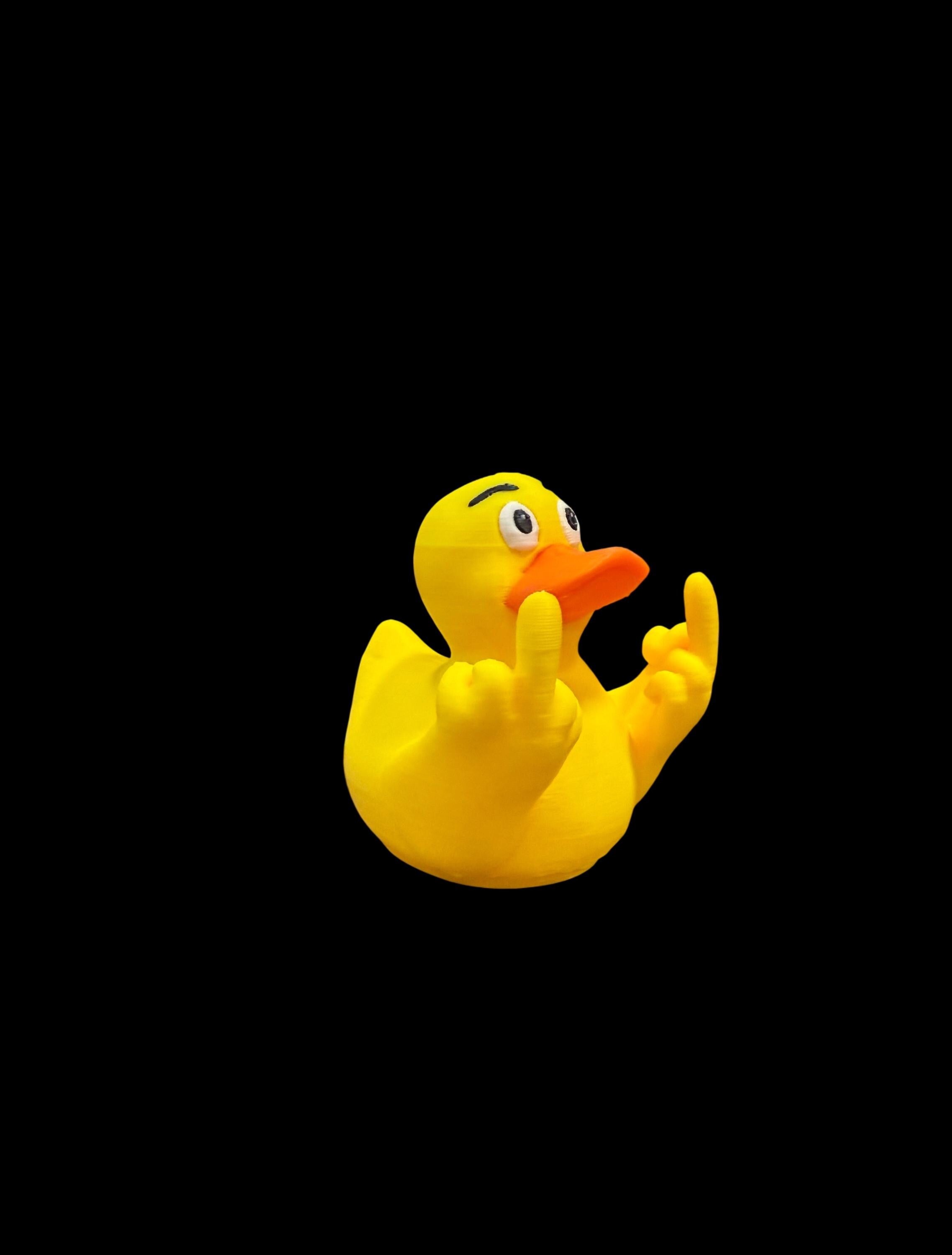 Flock Off – The Duck with an Attitude Problem