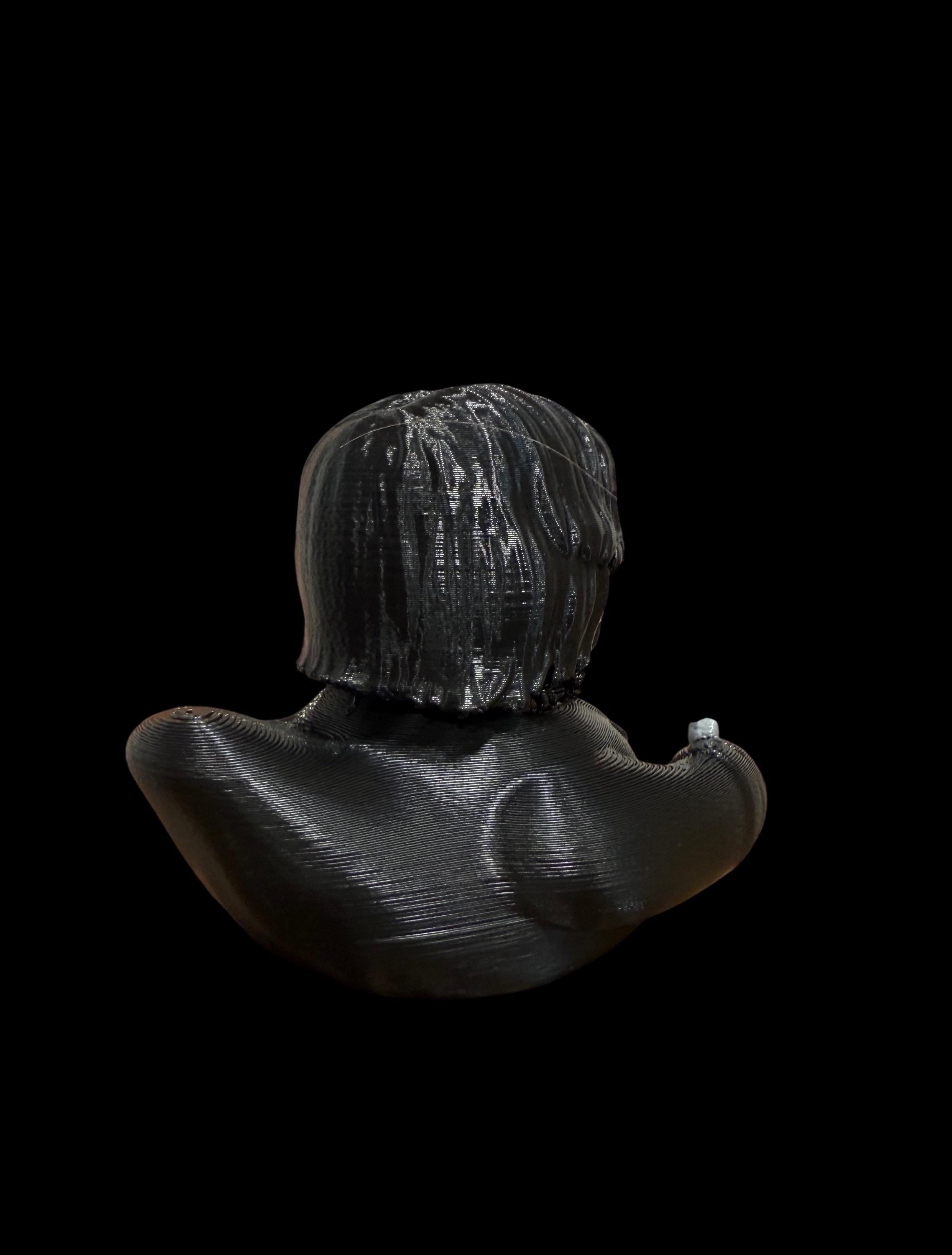 The Featherend – They Messed With the Wrong Duck.