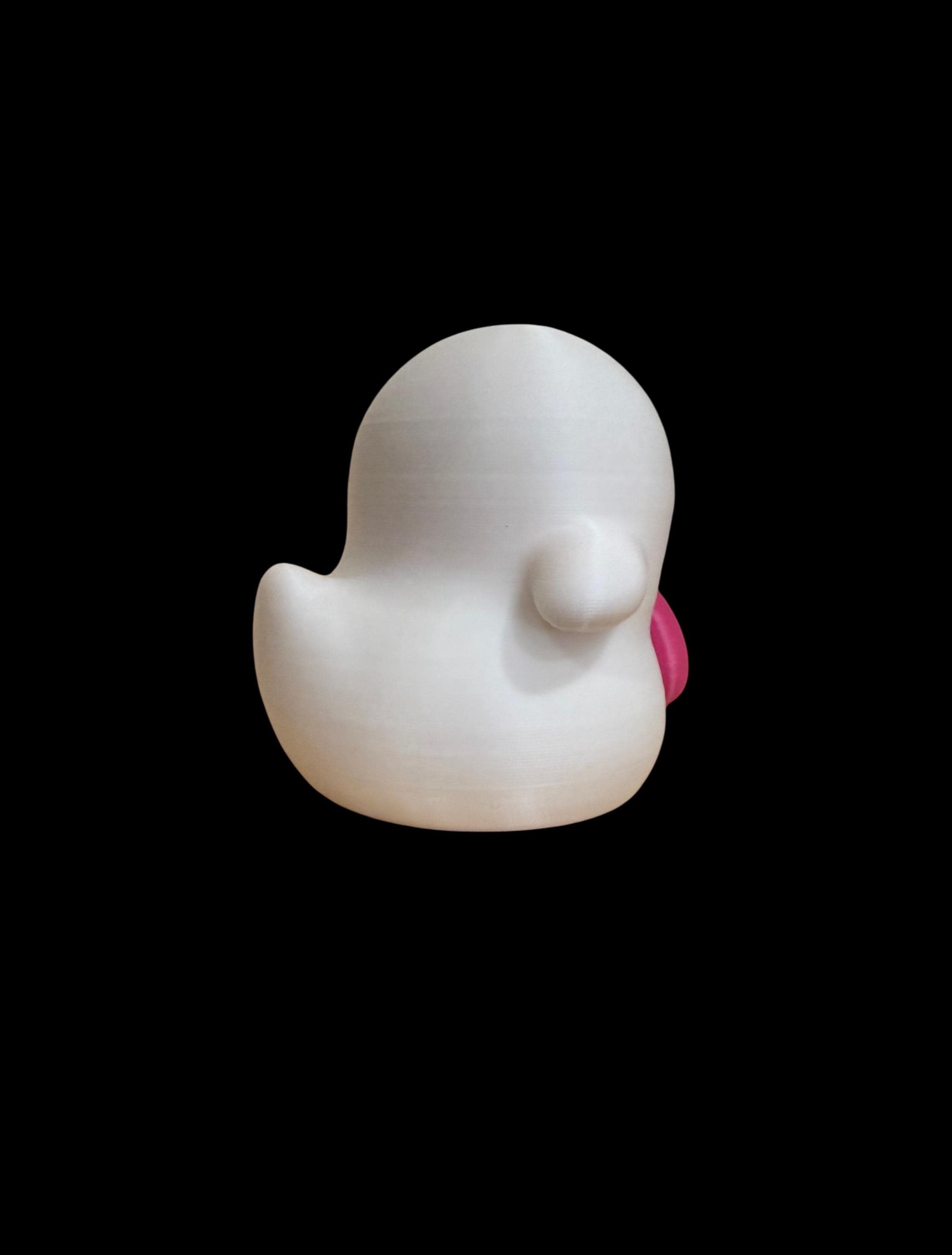 Boozer – The Duck Who’ll Haunt Your Shelf