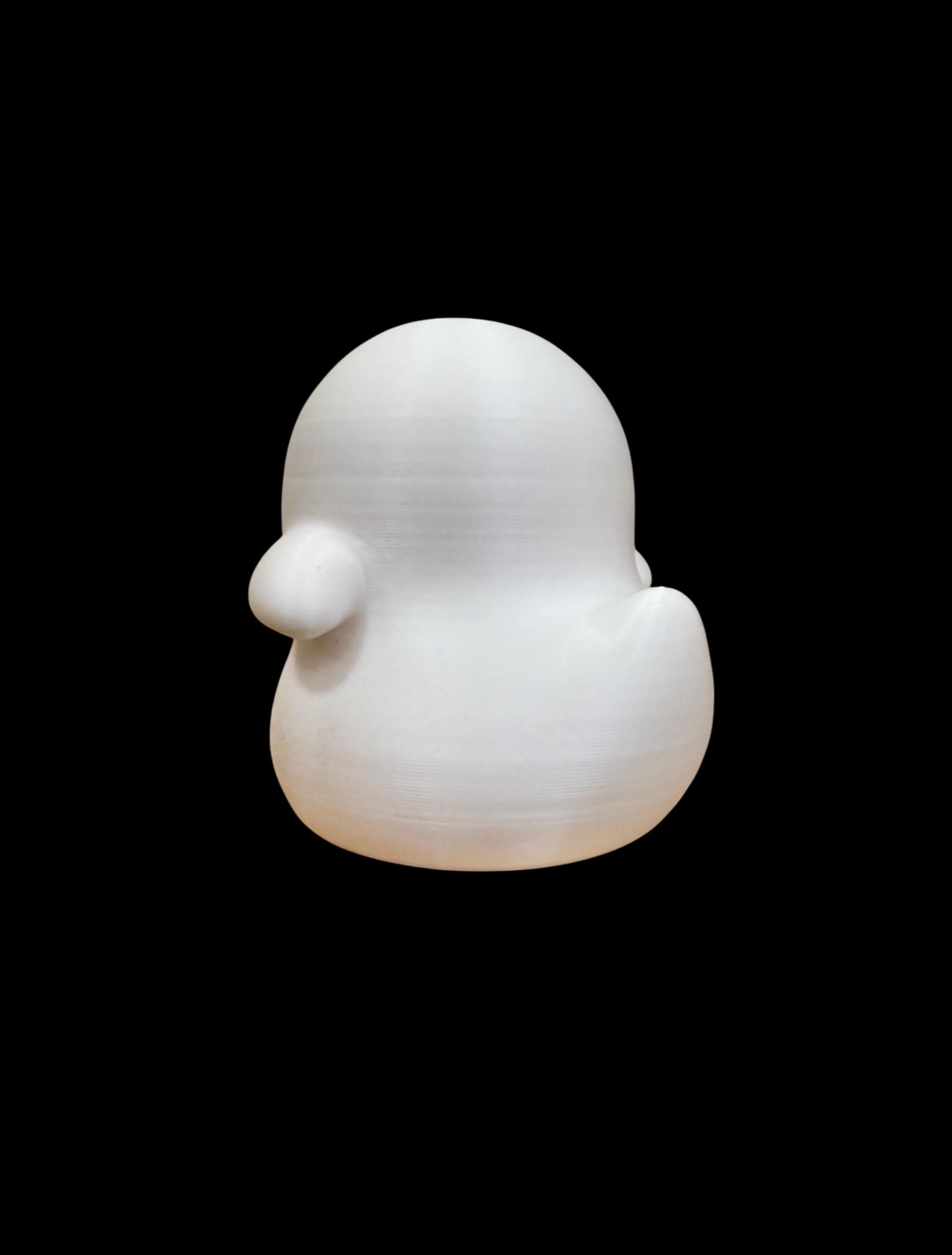 Boozer – The Duck Who’ll Haunt Your Shelf