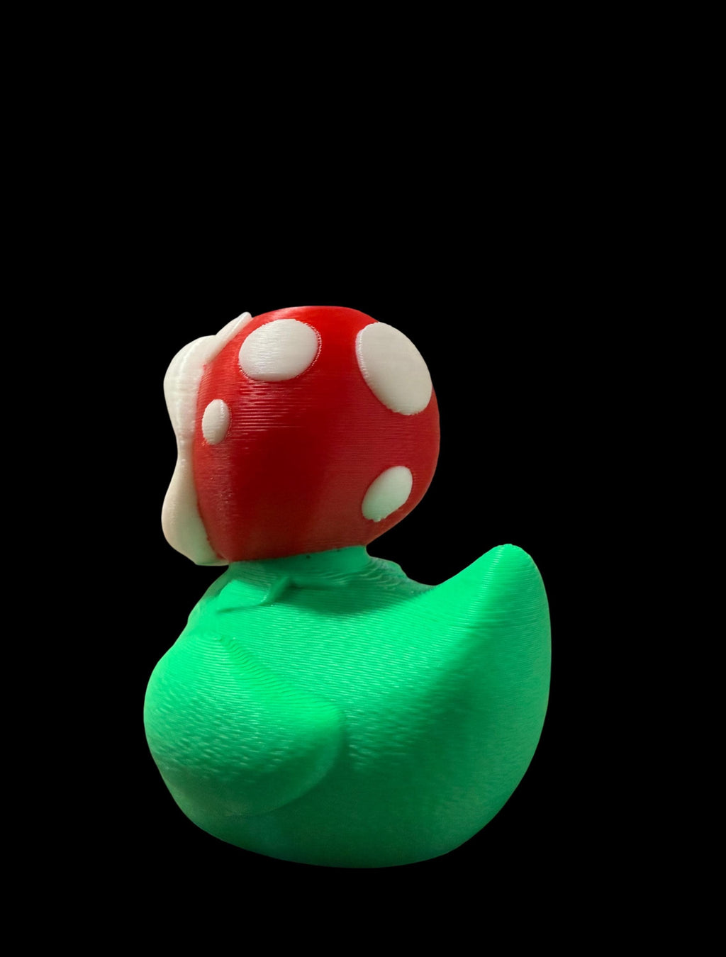 Snappaddle – The Bitey Bloom of the Pond!